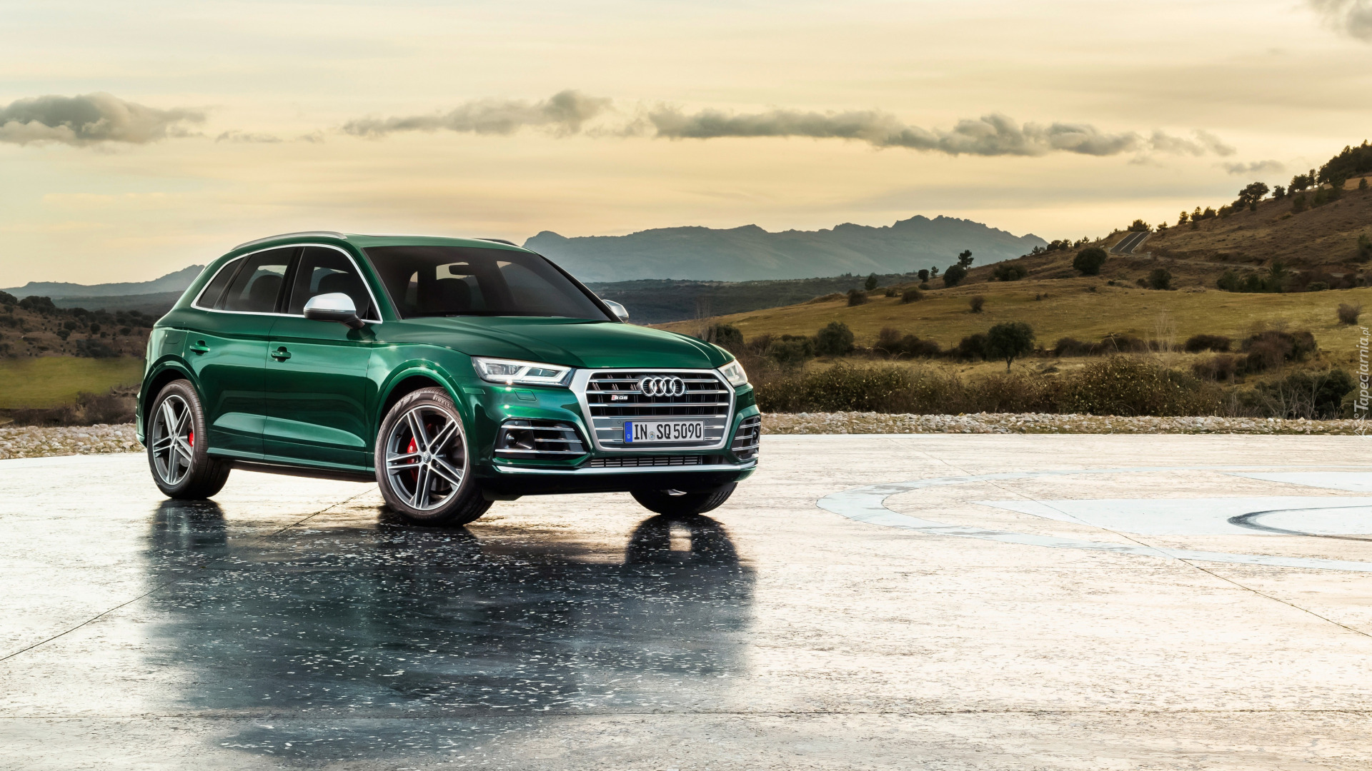 Zielone, Audi Q5 TFSI Quattro