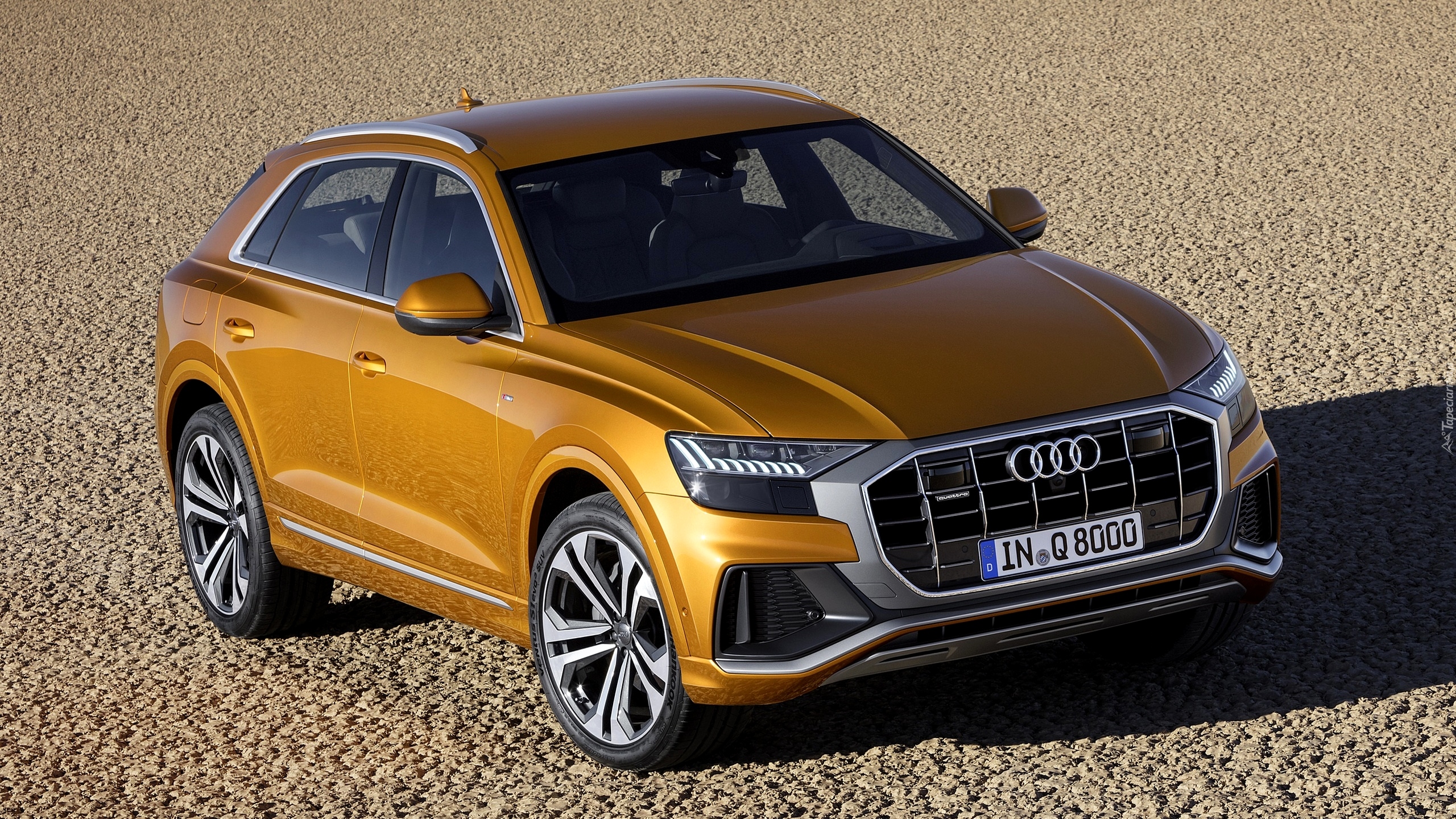 Audi Q8, Przód