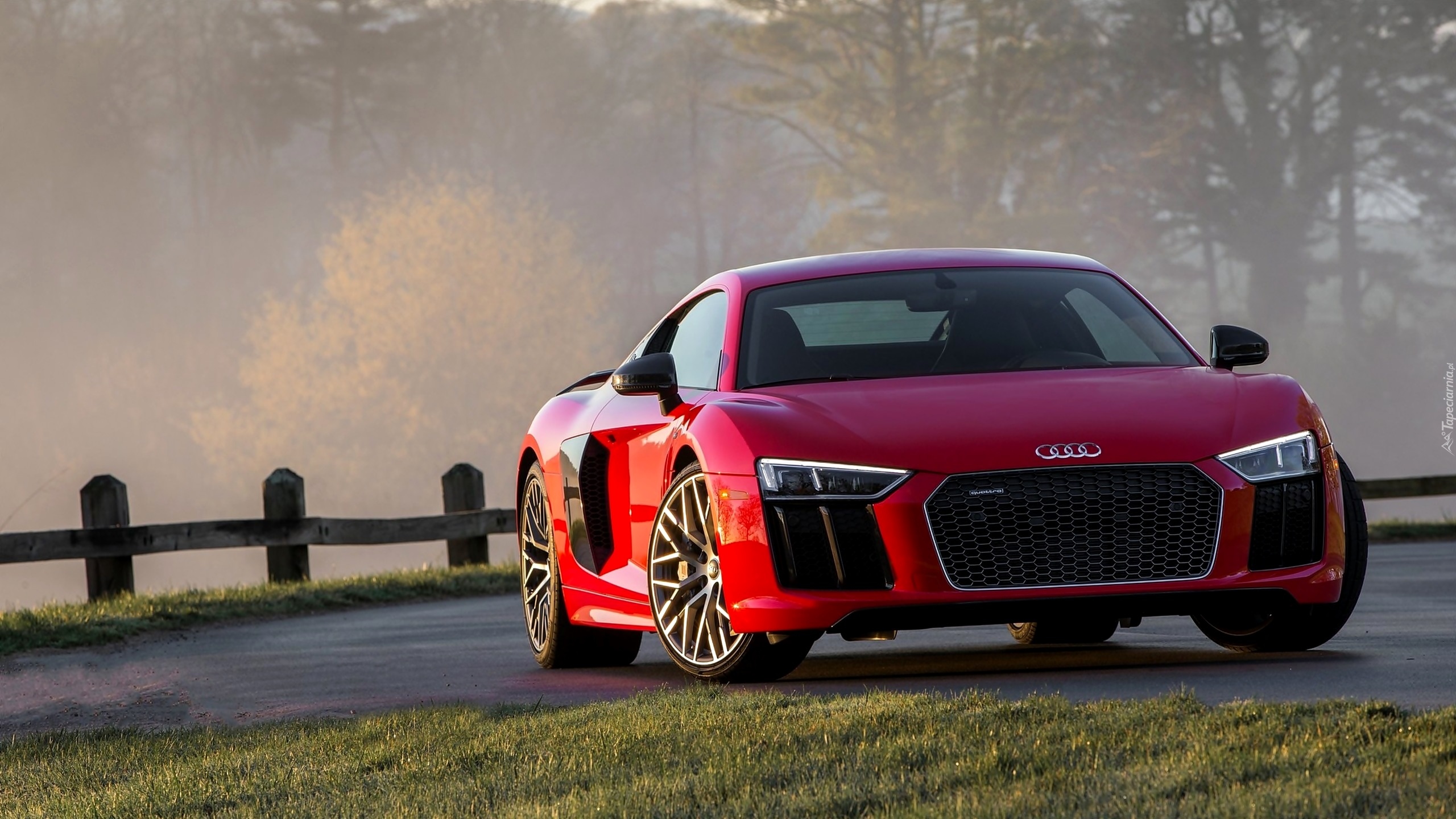 Czerwone, Audi R8 V10 Plus Coupé 5.2 FSI S Tronic Quattro, 2016