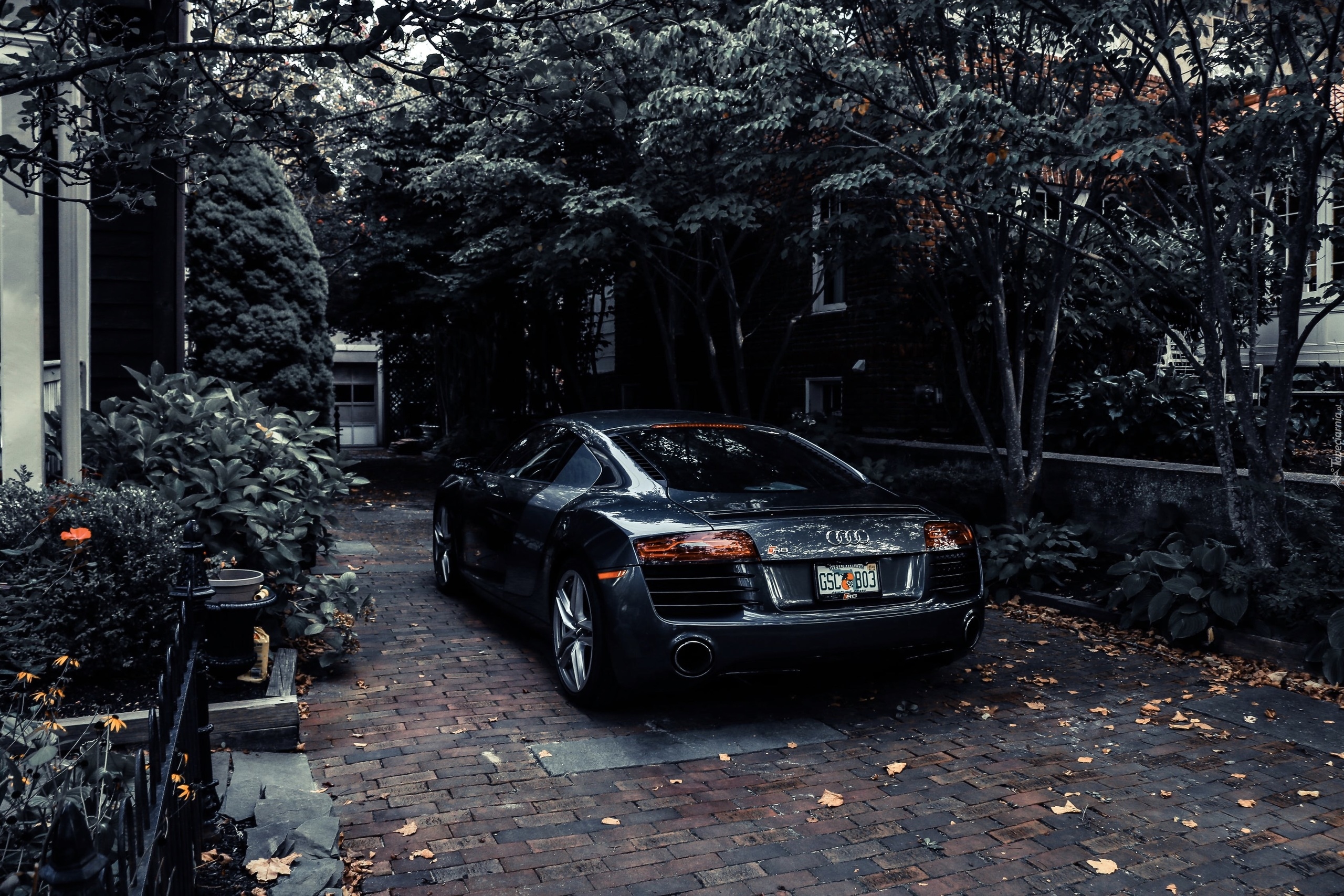 Czarne, Audi R8, Tył, Dom