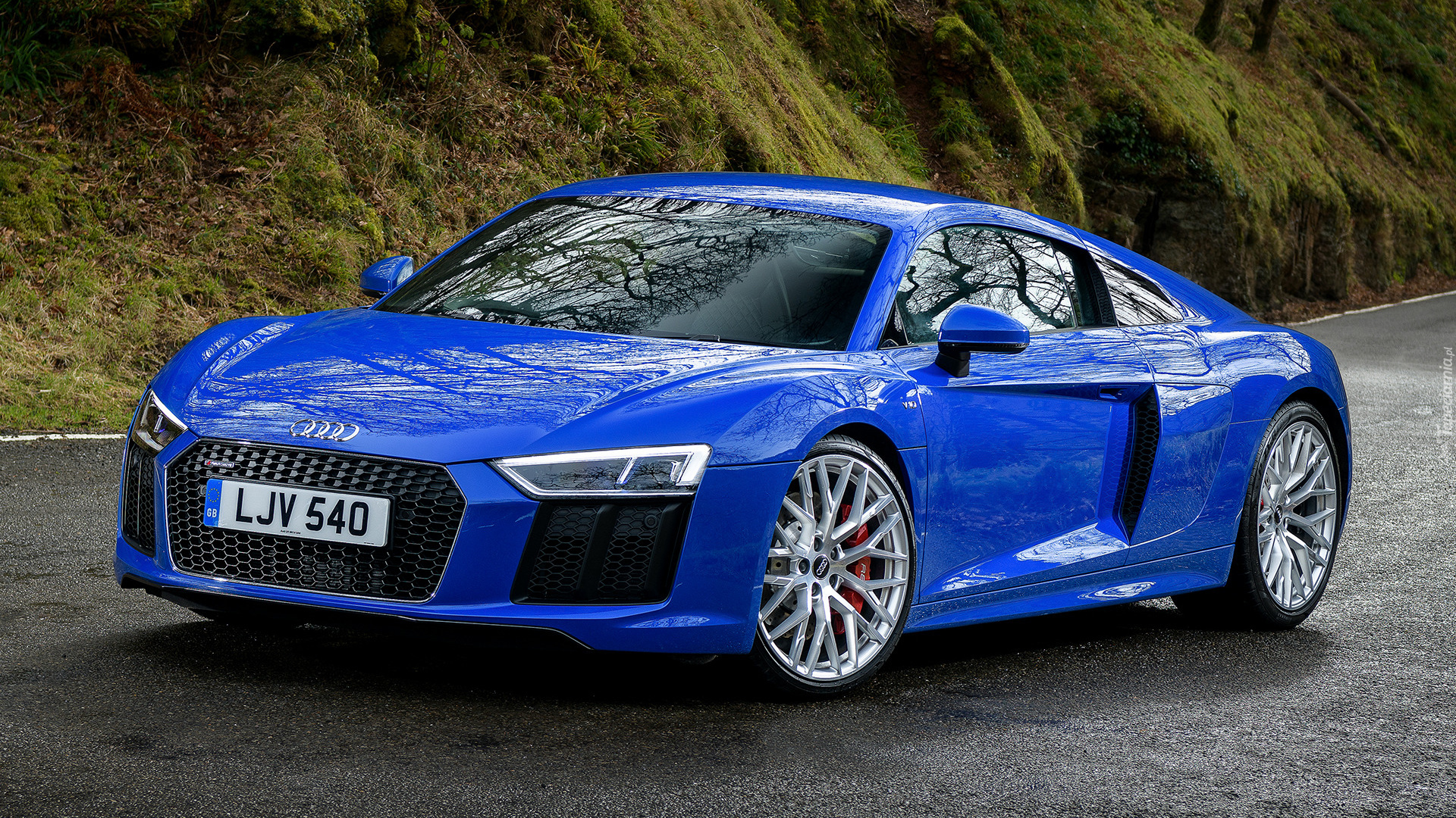 Niebieskie, Audi R8, Coupe