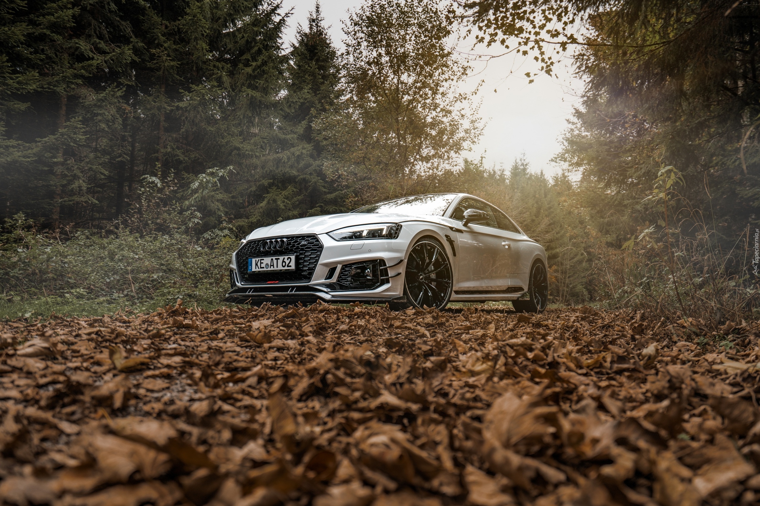Audi RS5, ABT Sportsline