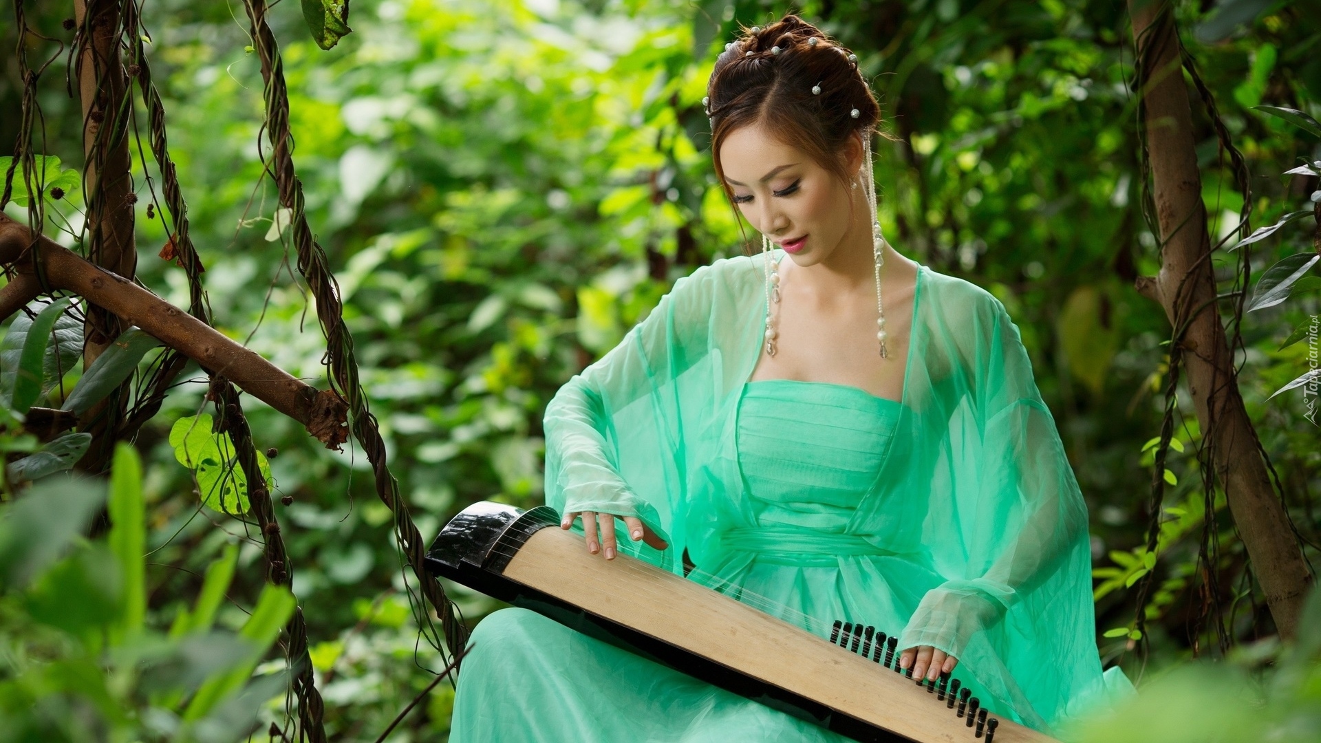 Kobieta, Zielona, Sukienka, Azjatka, Instrument, Koto