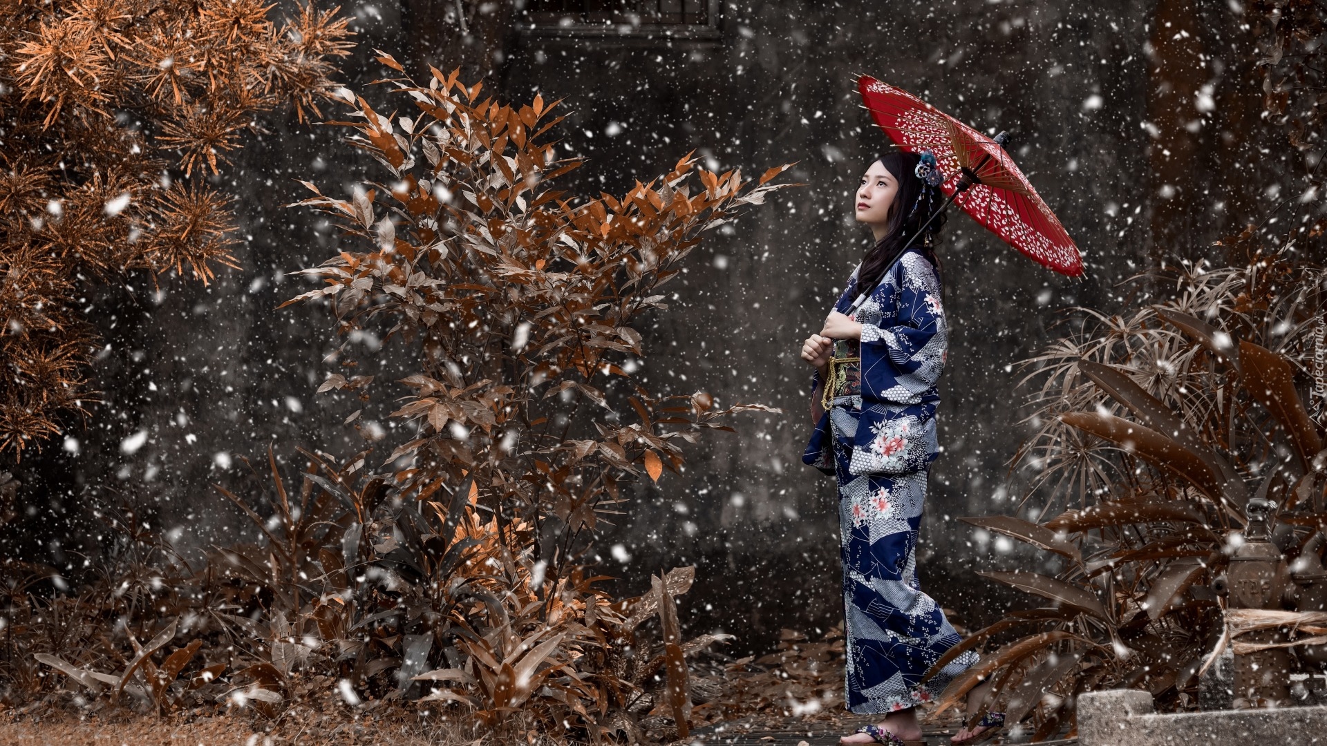Azjatka, Kobieta, Kimono, Parasol, Rośliny, Śnieg