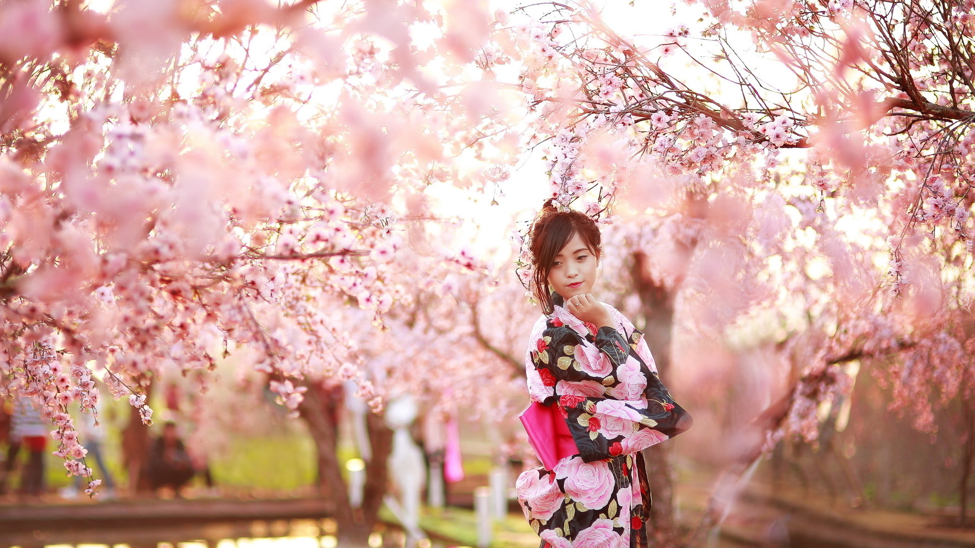 Kobieta, Azjatka, Kolorowe, Kimono, Okwiecone, Drzewa