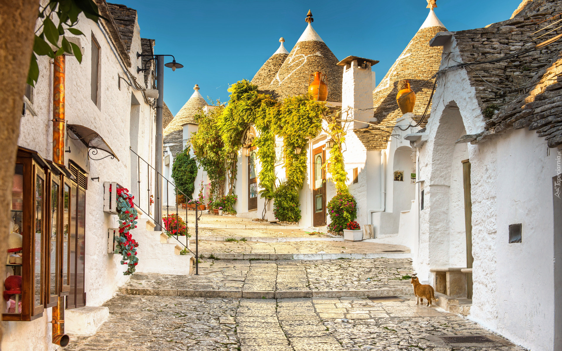 Włochy, Prowincja Bari, Alberobello, Domy, Trulli, Ulica