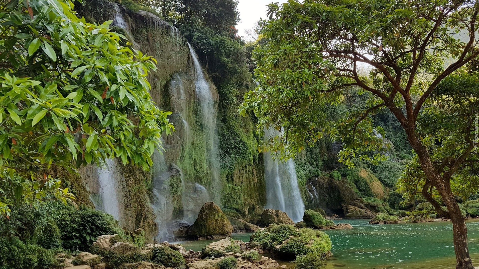 Skały, Wodospad, Ban Gioc Waterfall, Drzewa, Wietnam