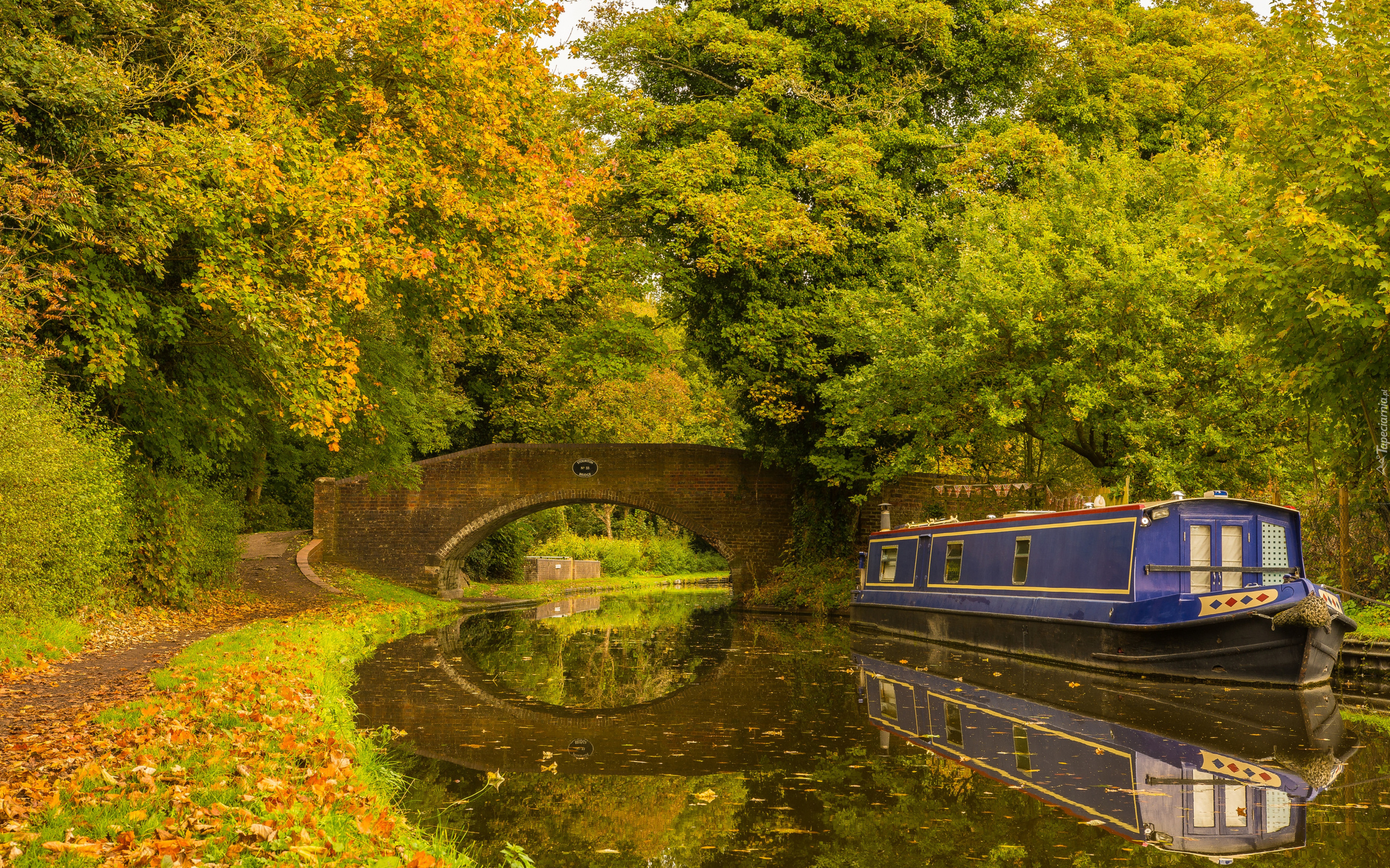 Anglia, Hrabstwo Worcestershire, Miasto Kidderminster, Park, Drzewa, Most, Barka, Rzeka, Kanał, Staffordshire and Worcestershire Canal, Jesień