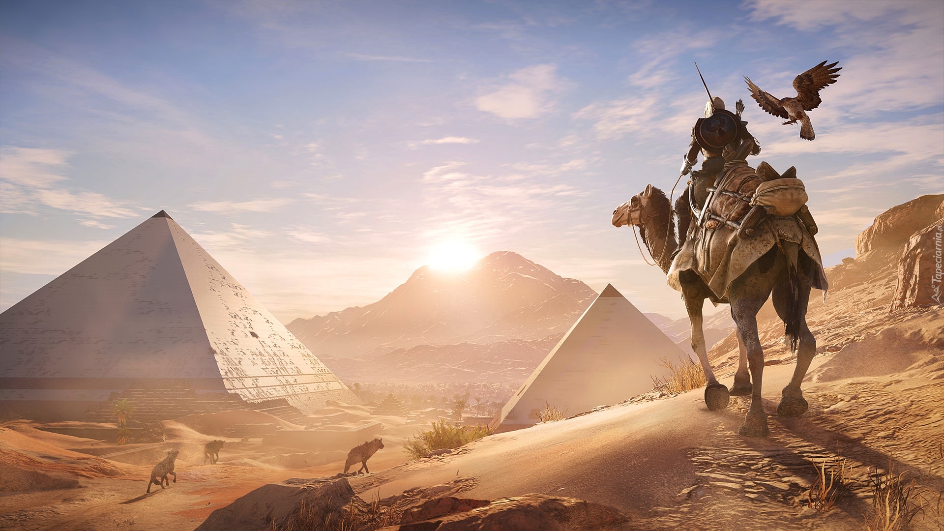 Gra, Assassins Creed: Origins, Bayek, Wielbłąd, Piramidy