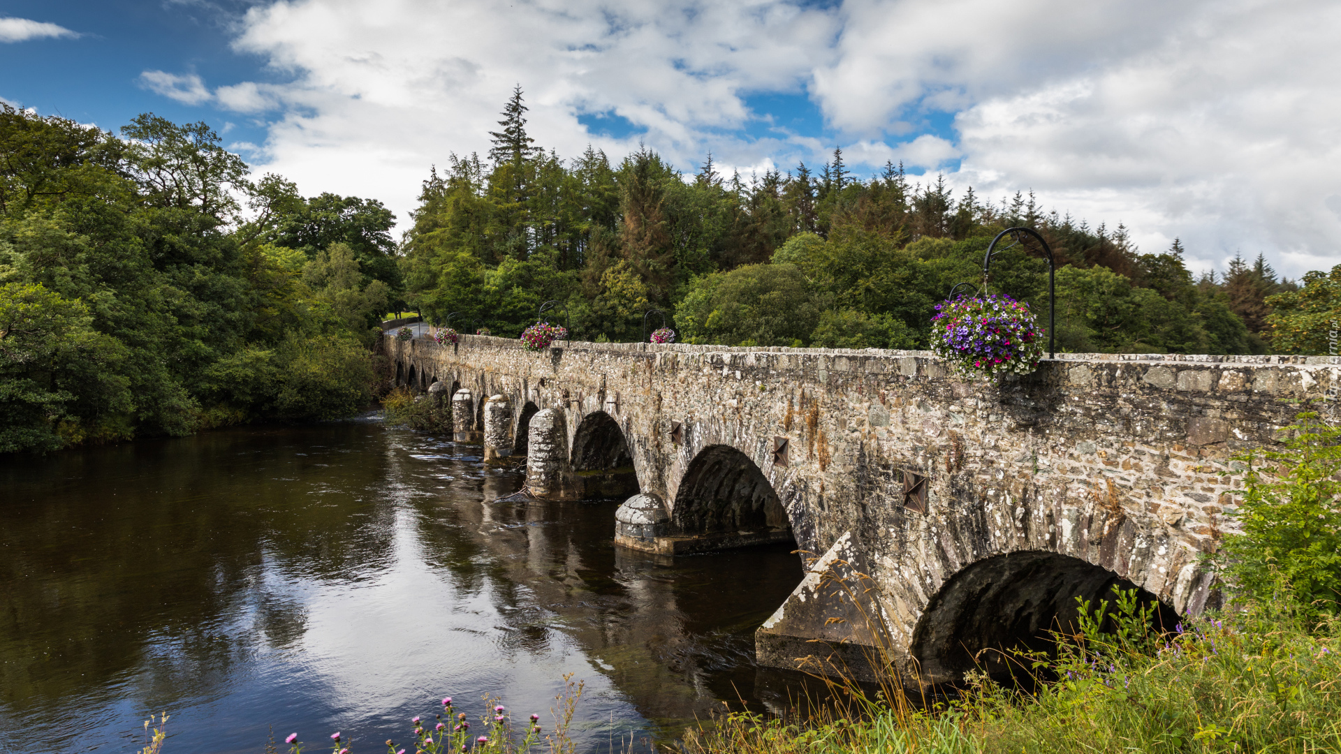 Irlandia, Hrabstwo Kerry, Wieś Beaufort, Rzeka Laune, Most kamienny  Beaufort Bridge, Rzeka, Las, Drzewa