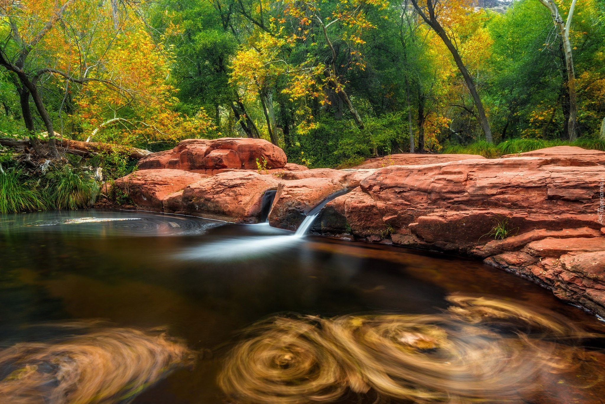 Stany Zjednoczone, Arizona, Dolina, Verde Valley, Rzeka, Beaver Creek, Las, Drzewa, Skały