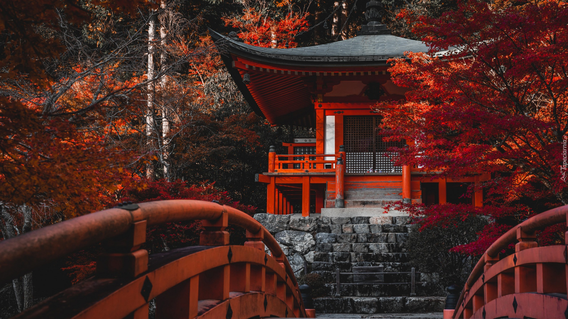 Japonia, Kioto, Świątynia, Bentendo Temple, Kompleks Daigo-ji, Jesień, Drzewa, Mostek