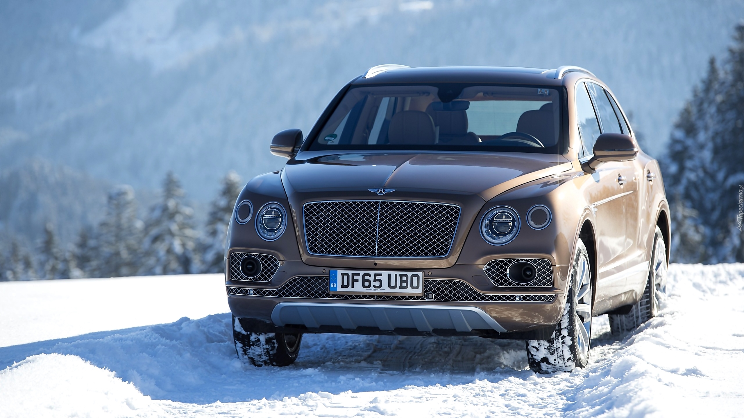 Bentley Bentayga, Śnieg