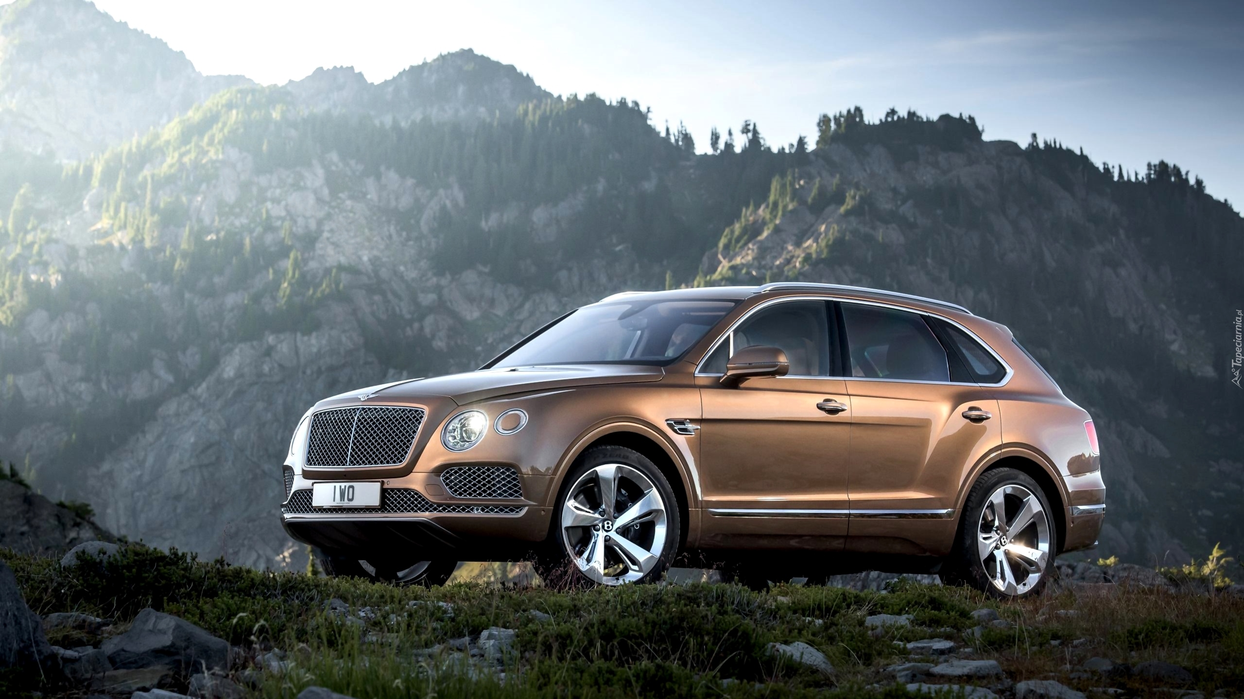 Bentley Bentayga, SUV