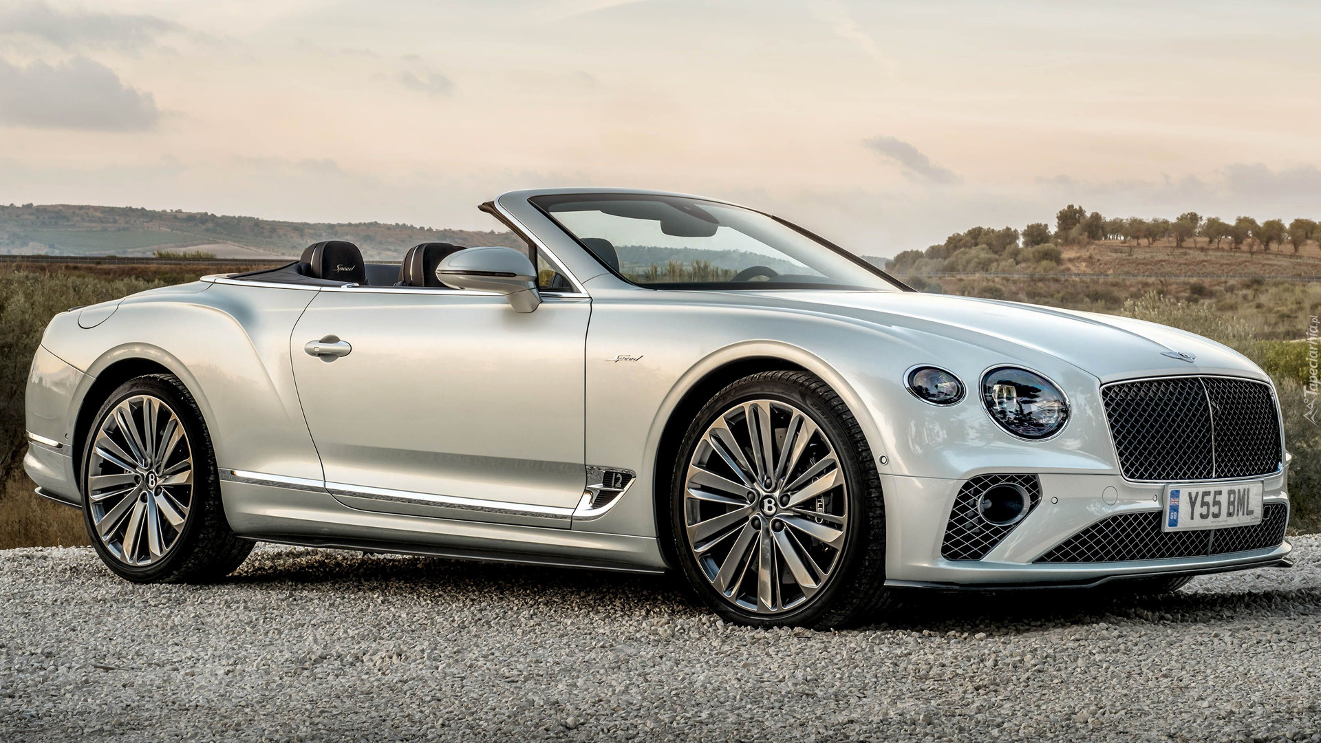 Kabriolet, Bentley Continental GT Speed Convertible, 2021