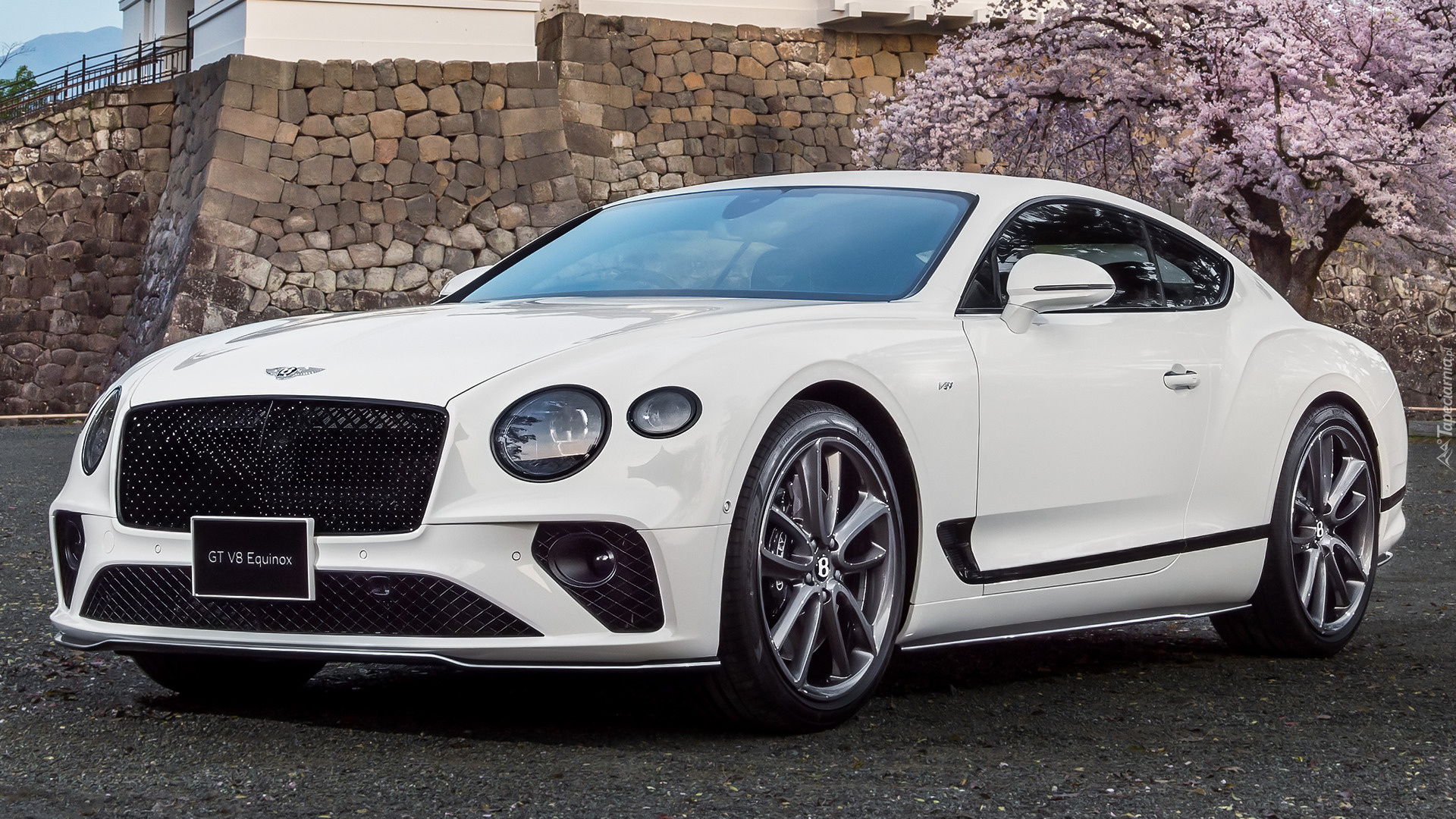 Bentley Continental GT, Biały