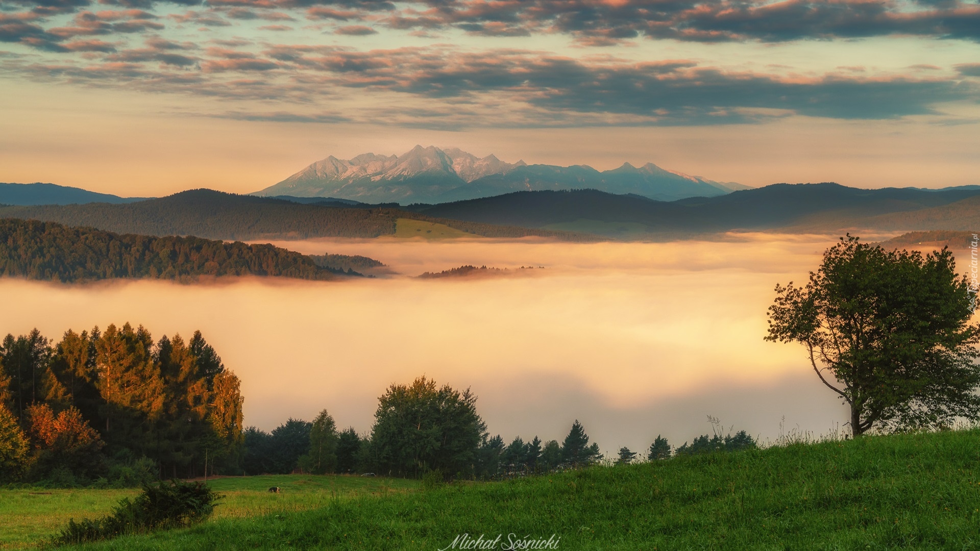 Góry, Lasy, Drzewa, Mgła, Chmury, Beskid Sądecki, Polska