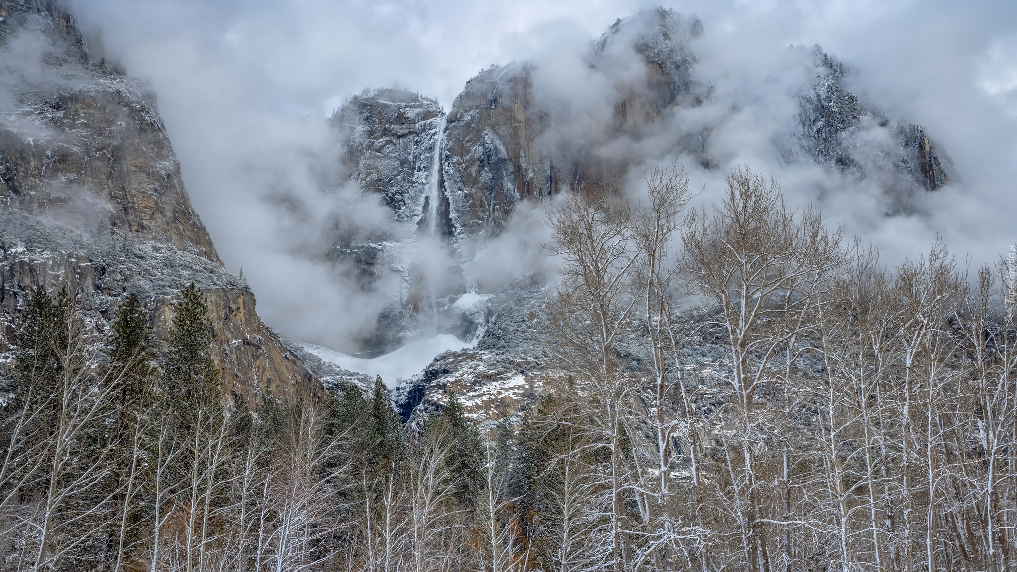 Park Narodowy Yosemite, Kalifornia, Stany Zjednoczone, Drzewa, Góry, Mgła