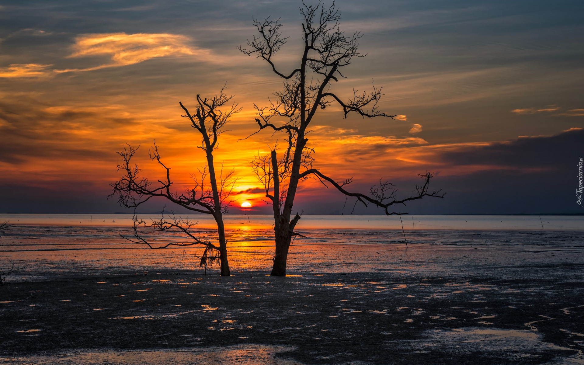 Jezioro, Zachód słońca, Brzeg, Kamienie, Drzewa