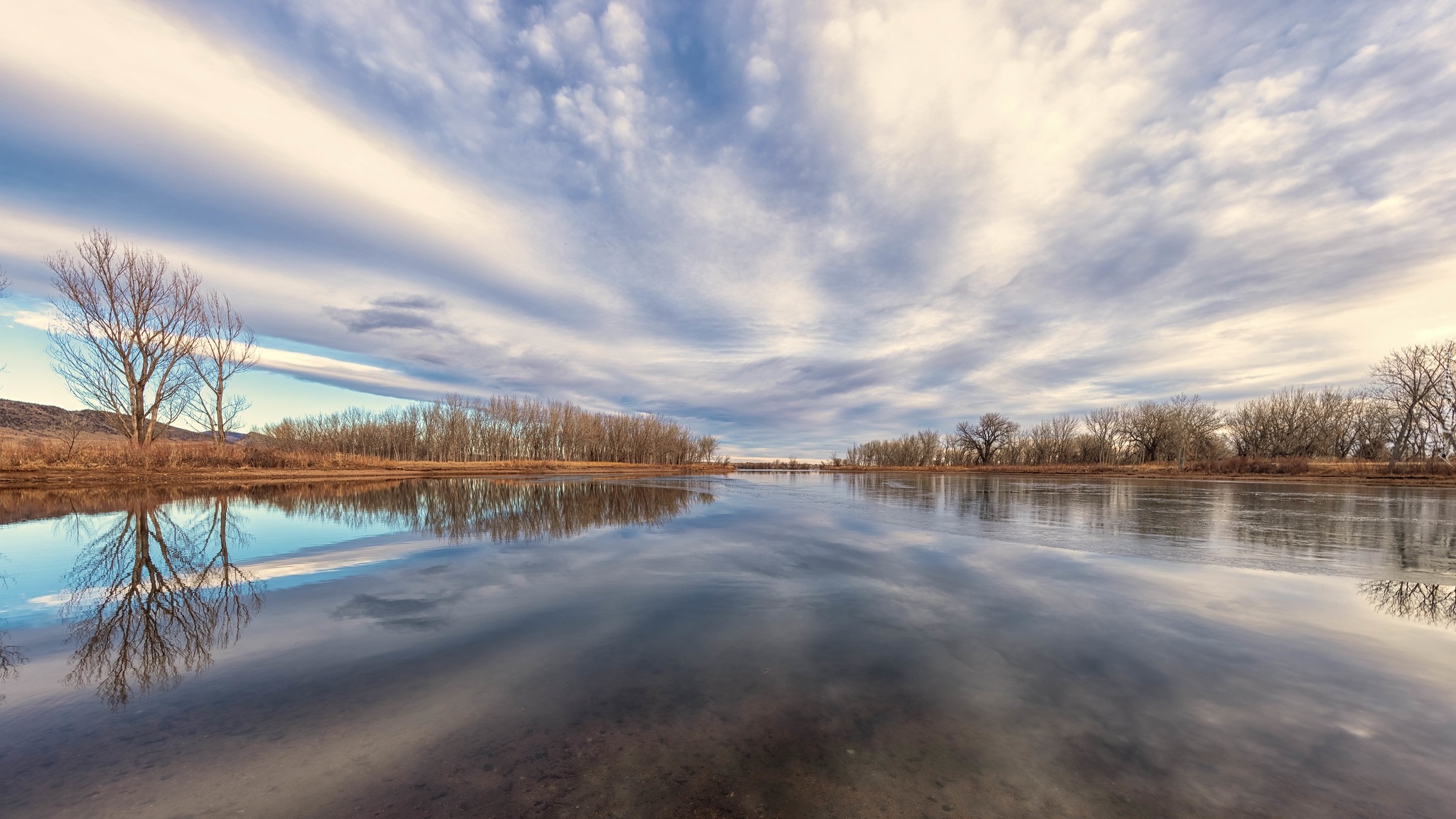 Jezioro, Lake Chatfield, Bezlistne, Drzewa, Chatfield State Park, Kolorado, Stany Zjednoczone