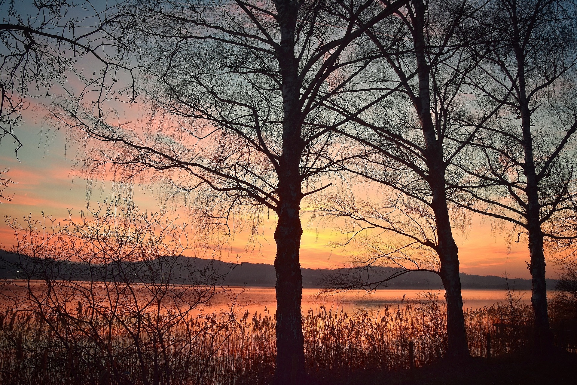 Jesień, Jezioro Sempachersee, Drzewa, Zachód słońca, Szwajcaria