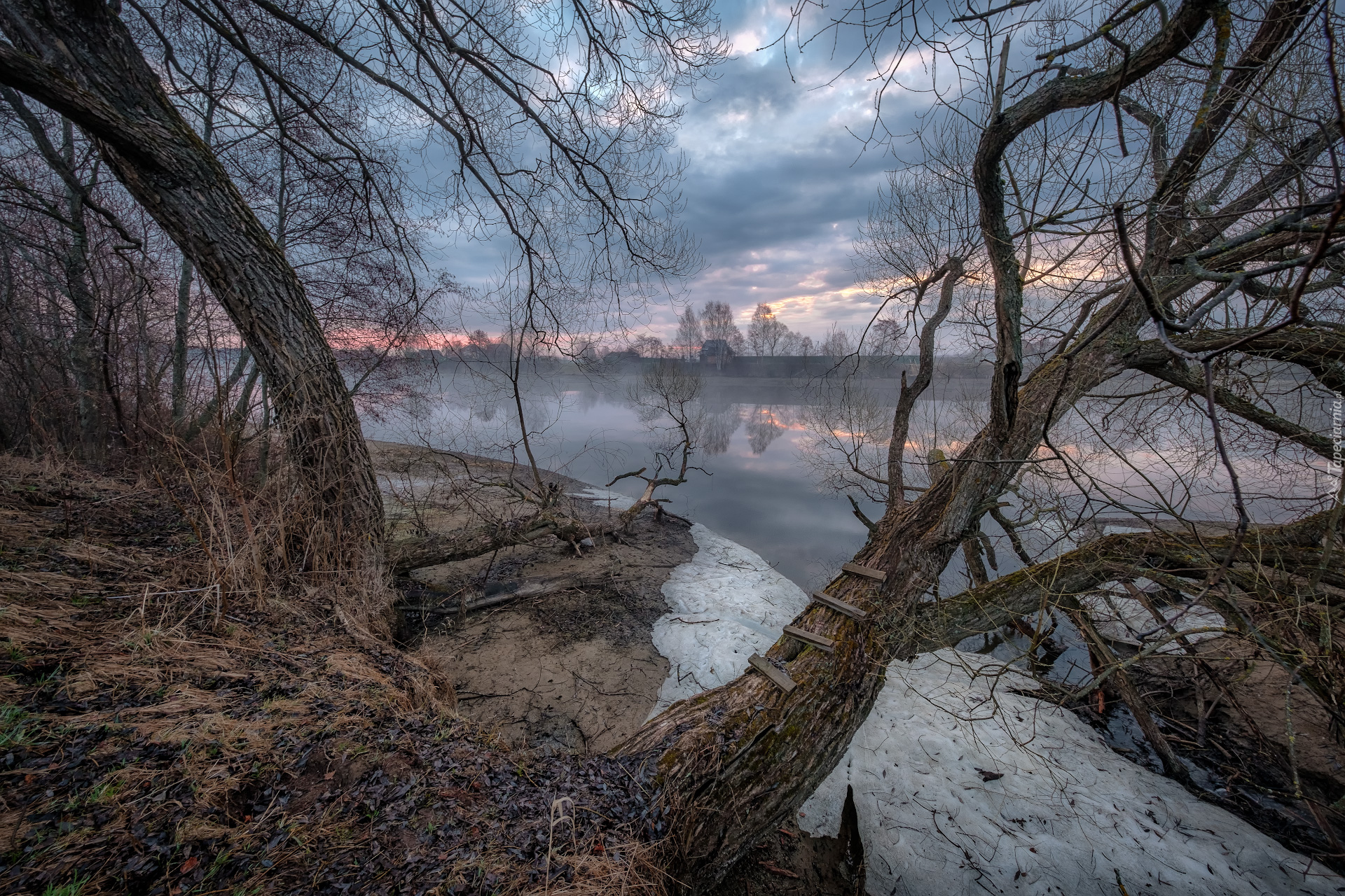 Rzeka Dubna, Domy, Mgła, Bezlistne, Drzewa, Łatgalia, Łotwa