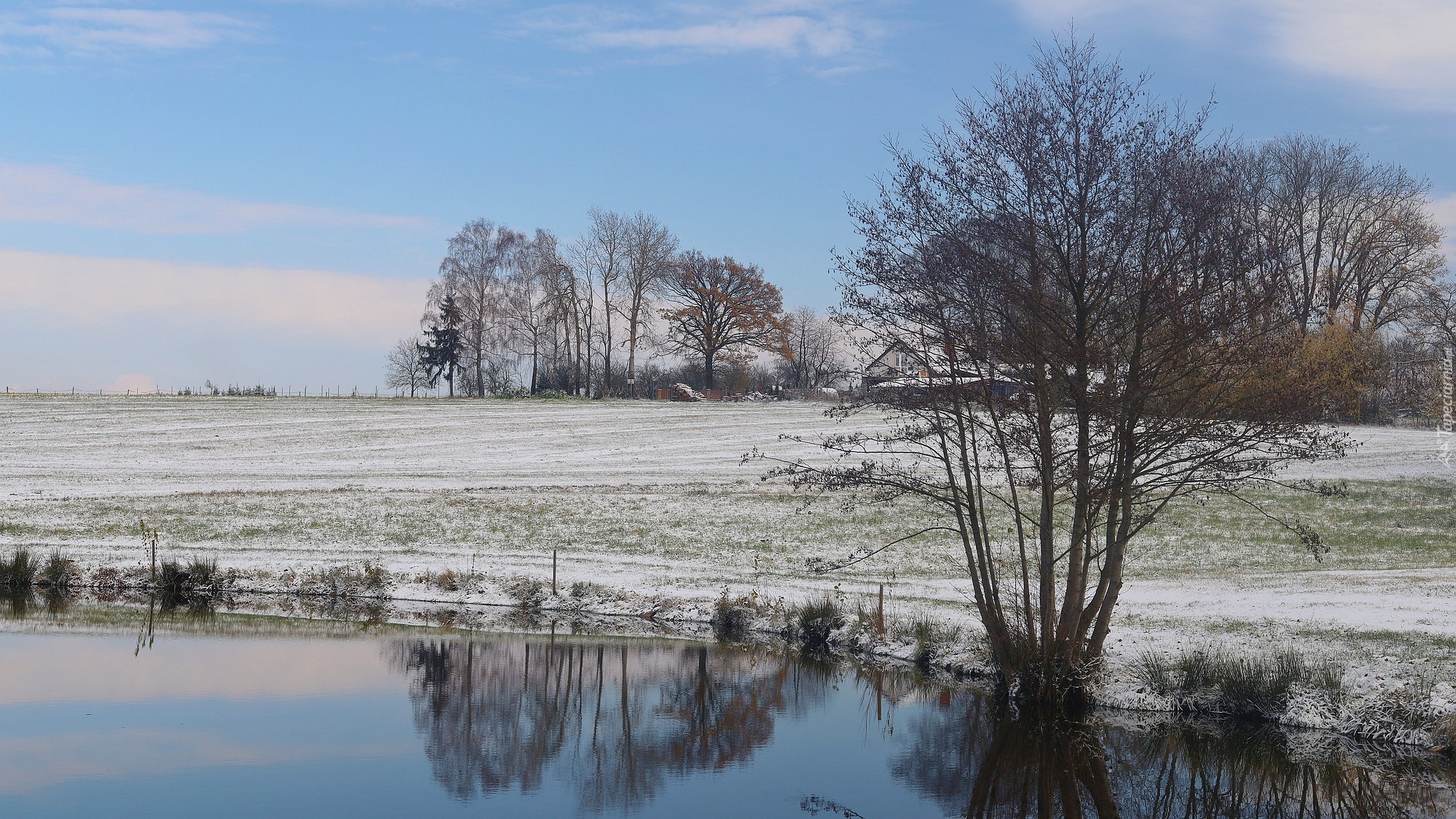 Staw, Drzewa, Pole, Śnieg