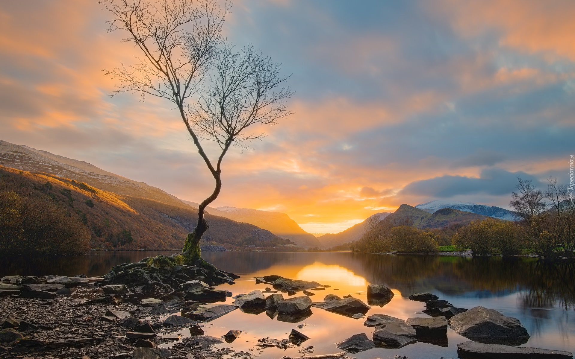 Walia, Jezioro, Llyn Padarn, Kamienie, Snowdonia, Góry, Drzewo, Zachód słońca, Chmury