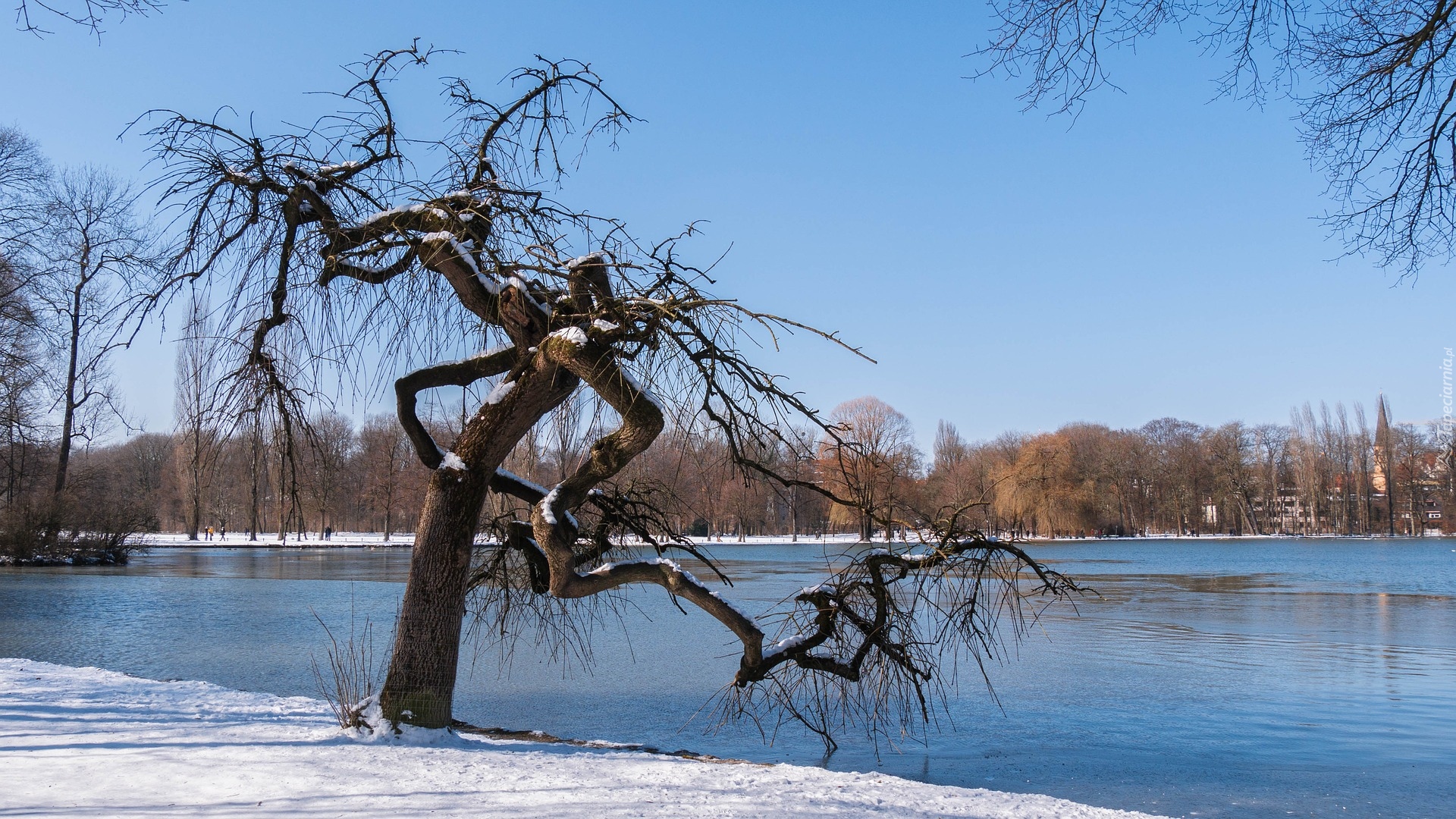 Zima, Jezioro, Drzewa, Park, Śnieg