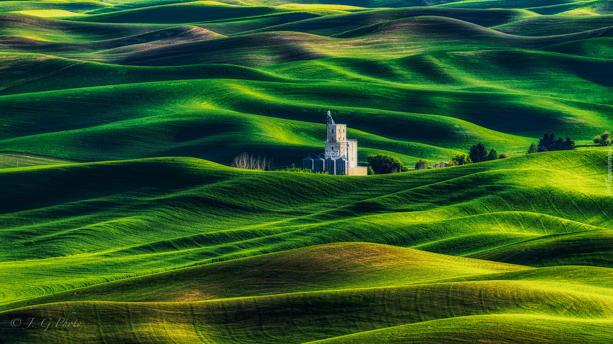 Wzgórza, Drzewa, Łąki, Pola, Budowla, Steptoe Butte State Park, Region Palouse, Stan Waszyngton, Stany Zjednoczone