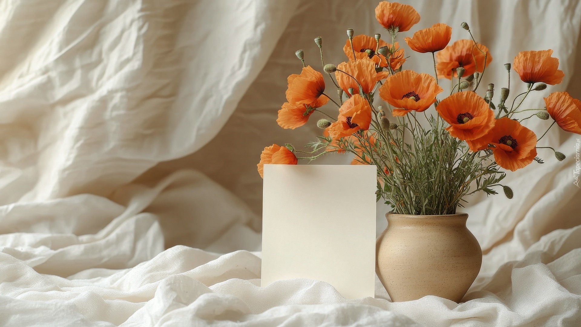 Kwiaty, Maki, Wazon, Biała, Kartka, Białe, Płótno