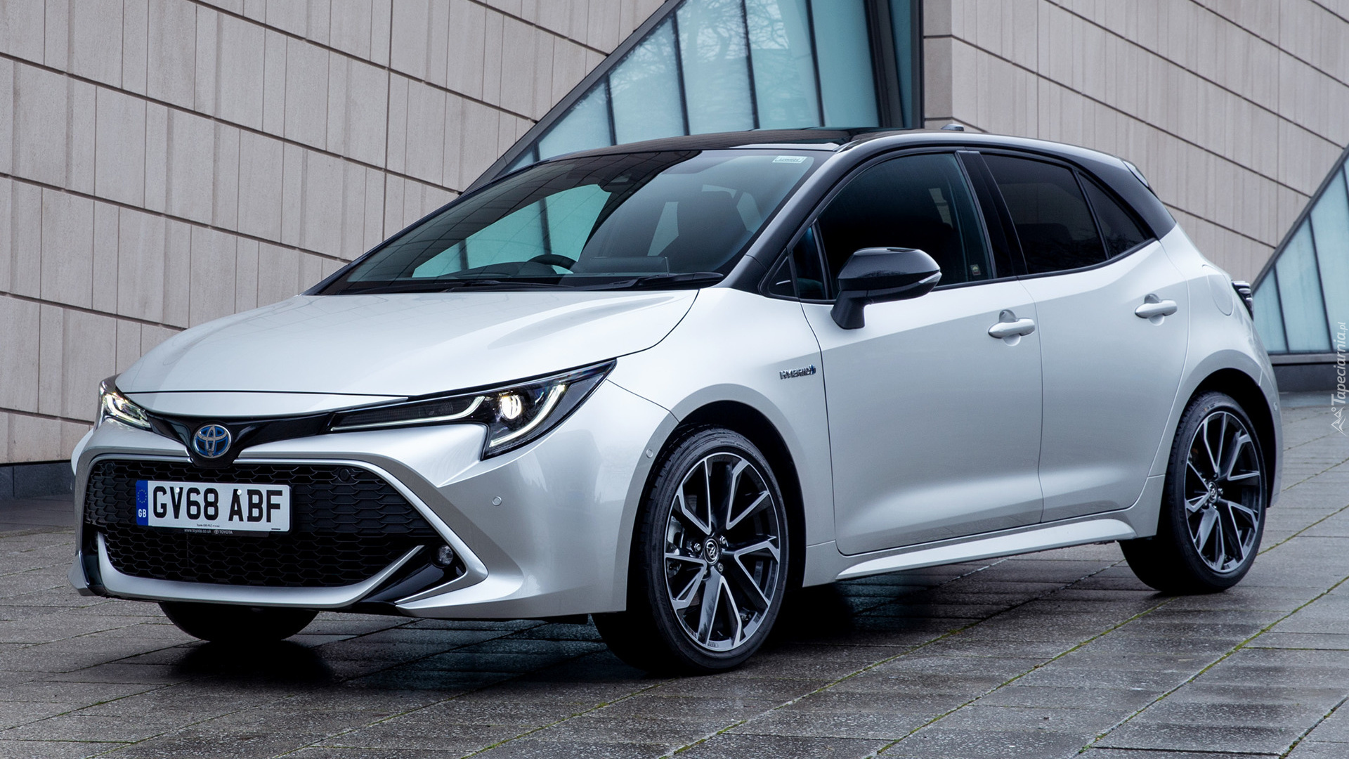 Biała, Toyota Corolla, Hatchback, 2019