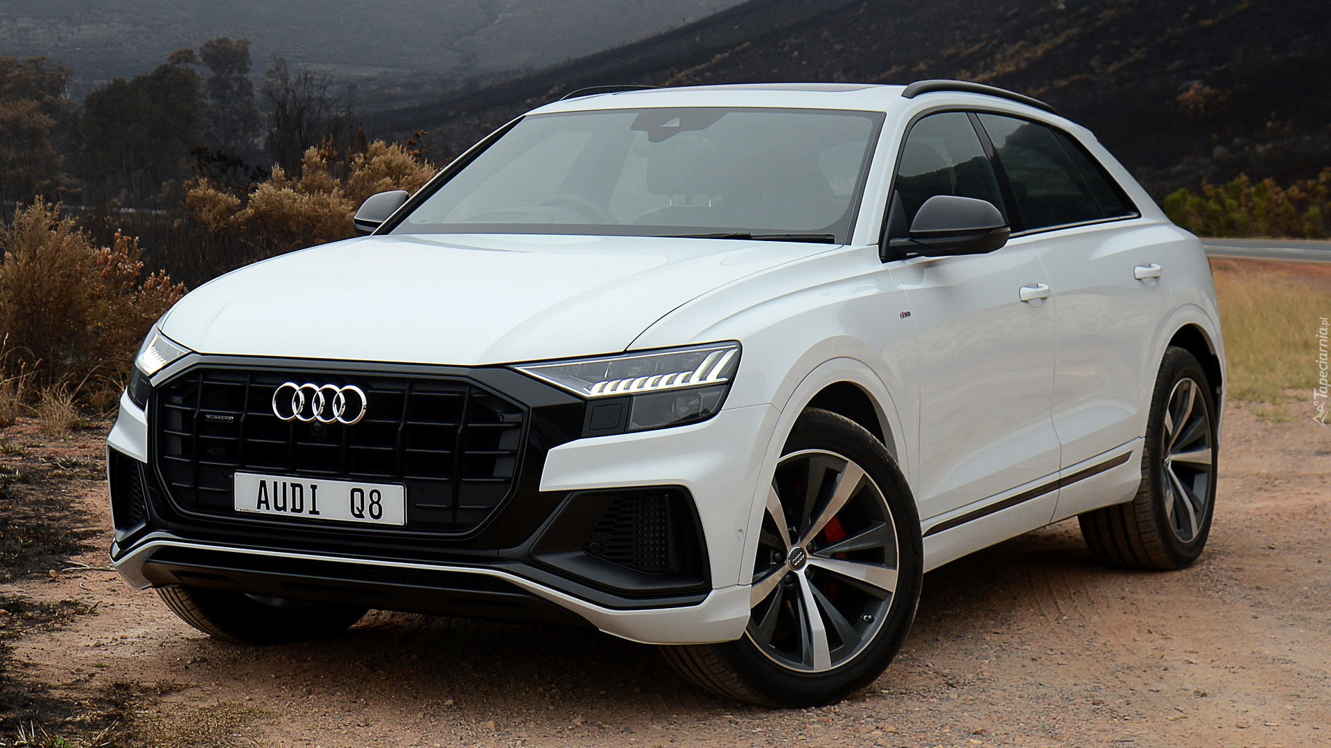 Audi q8 белая