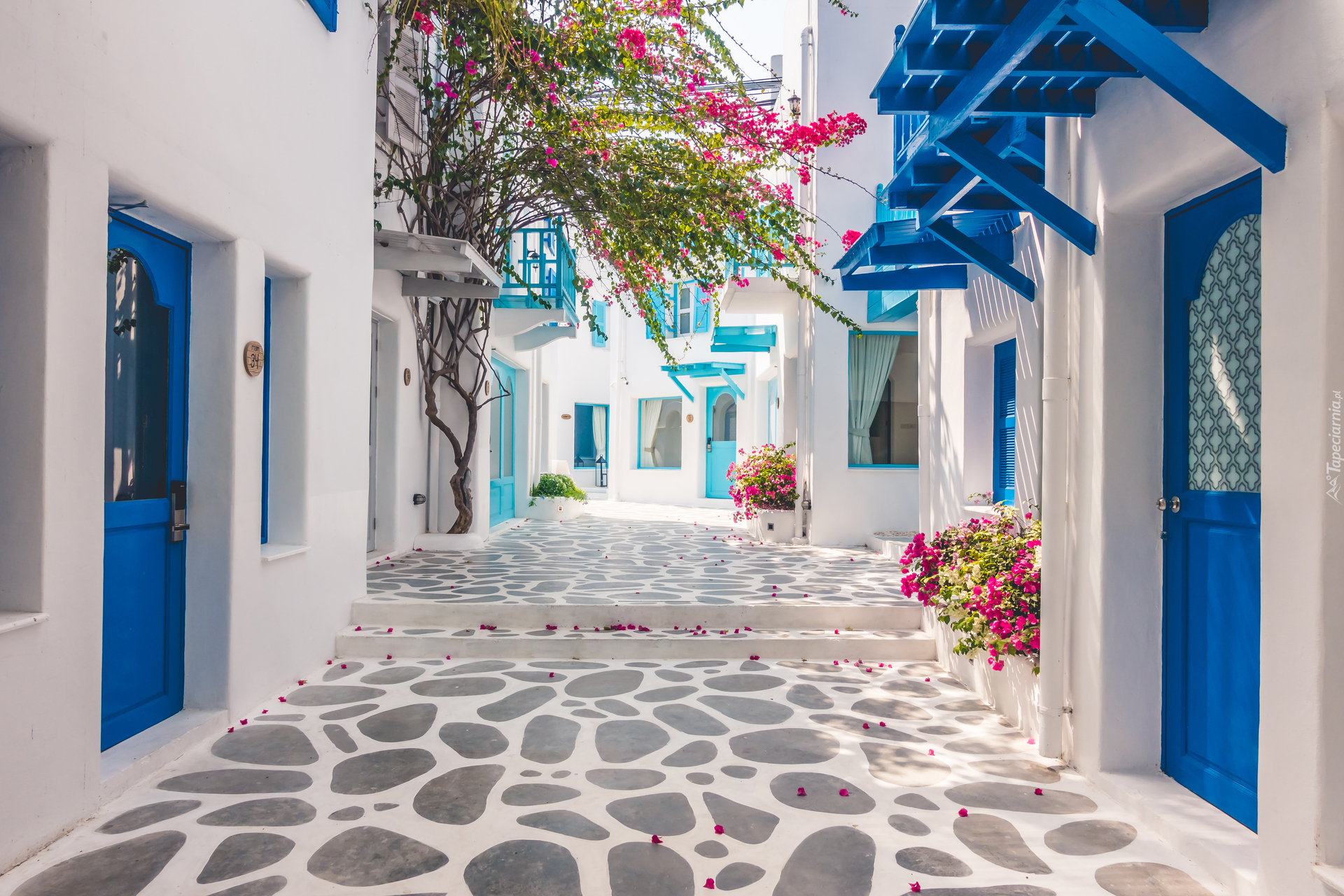 Grecja, Santorini, Białe, Domy, Niebieskie, Drzwi, Uliczka