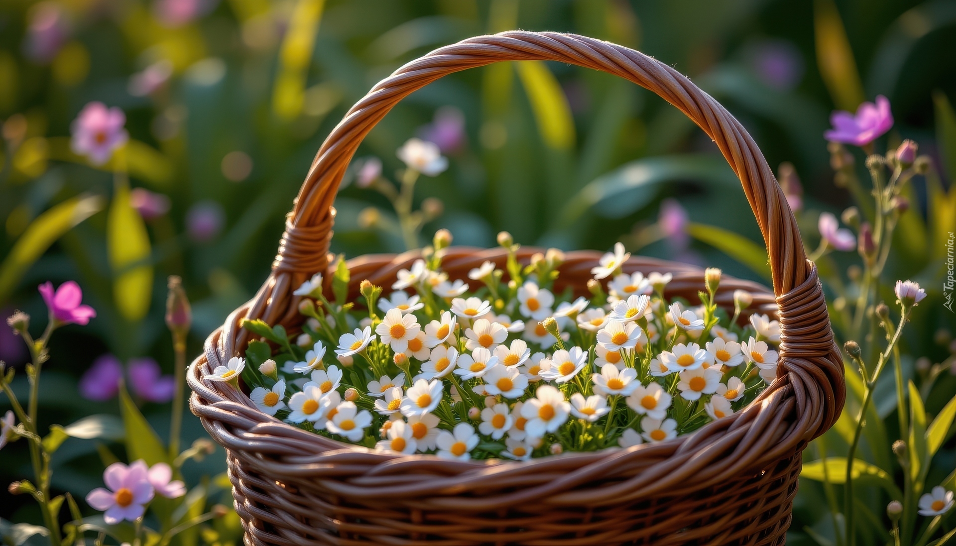 Białe, Drobne, Kwiaty, Wiklinowy, Koszyk