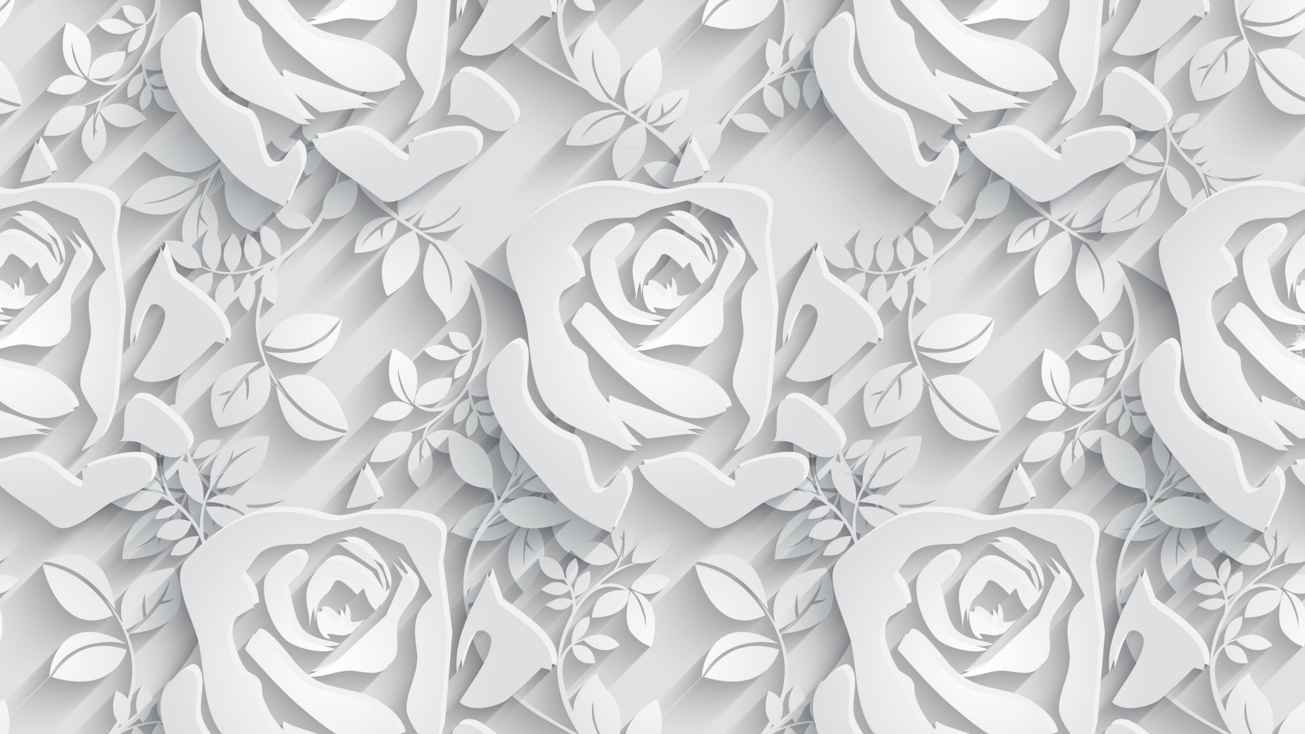 Białe, Róże, Tekstura