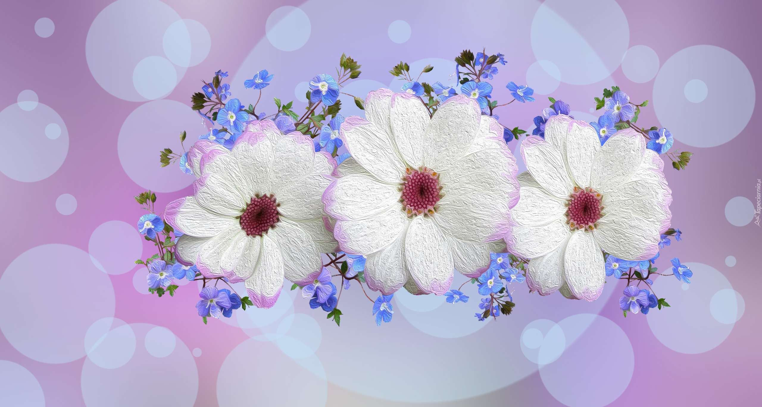 Białe, Niebieskie, Kwiaty, 2D
