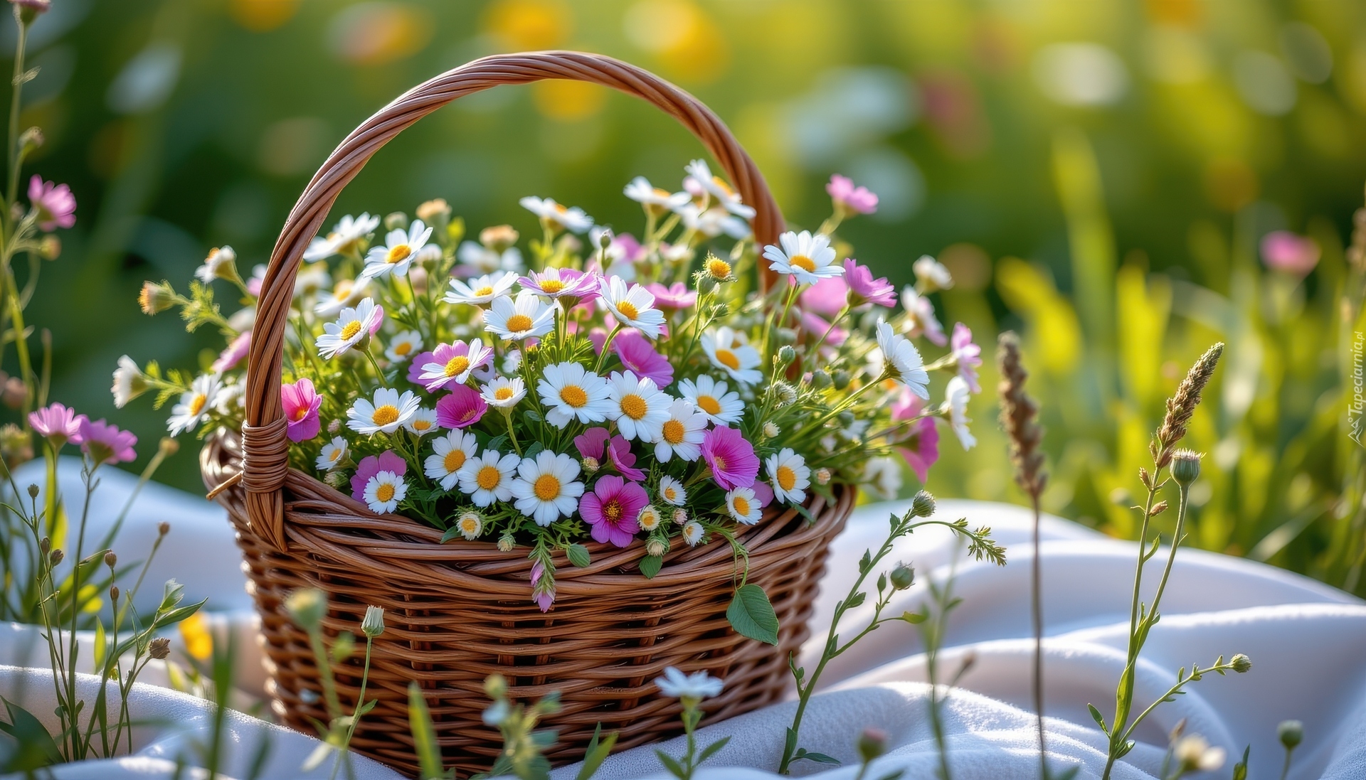 Różowe, Białe, Drobne, Kwiaty, Koszyk