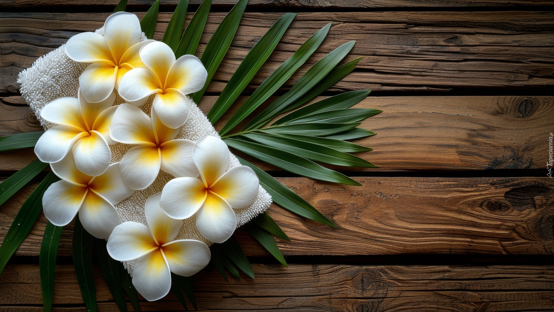 Kwiat, Plumeria, Ręcznik, Liść, Drewno Kwiat