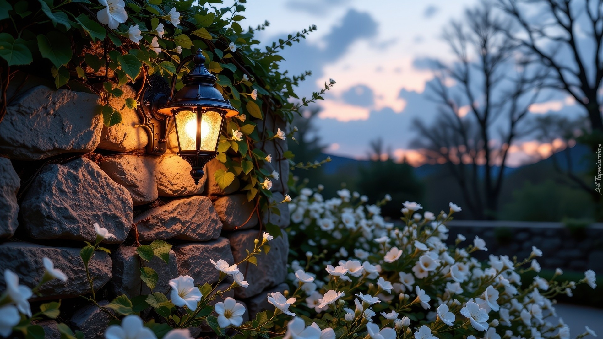Mur, Latarnia, Białe, Kwiaty, Drzewa
