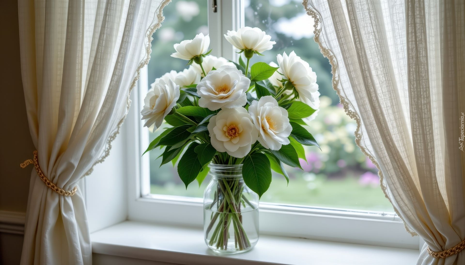 Kwiaty, Bukiet, Białe, Słoik, Okno, Firanki