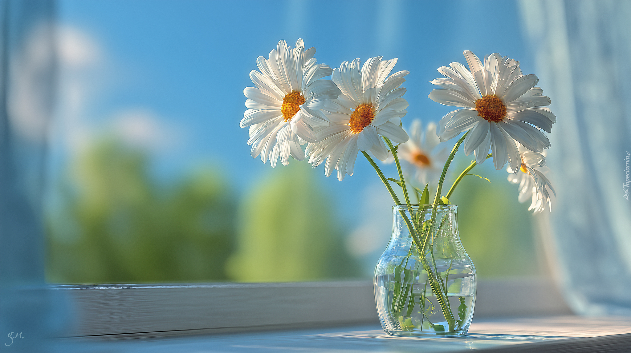 Margerytki, Wazon, Okno, Grafika AI