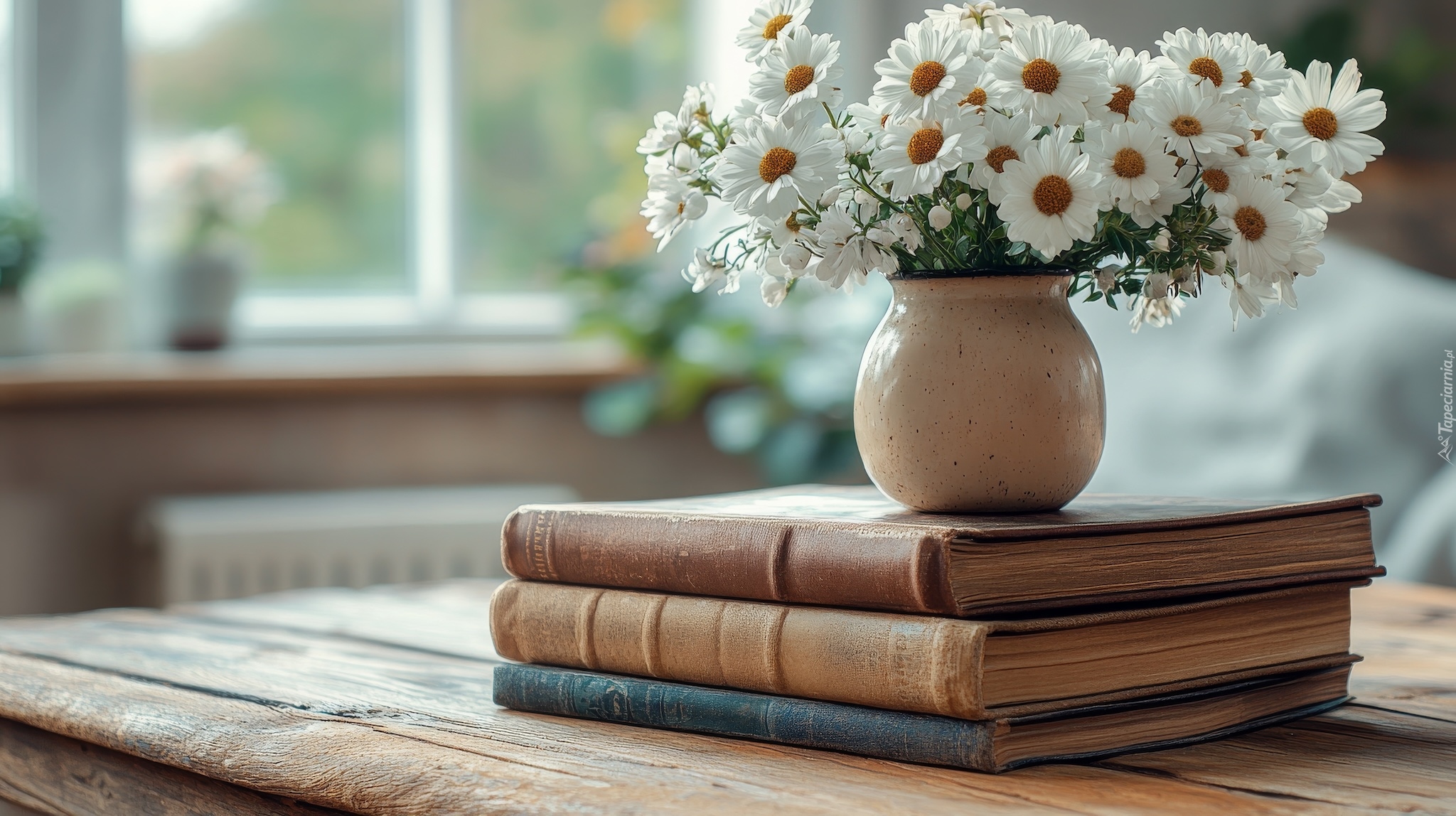 Książki, Kwiaty, Margerytki, Wazon, AI