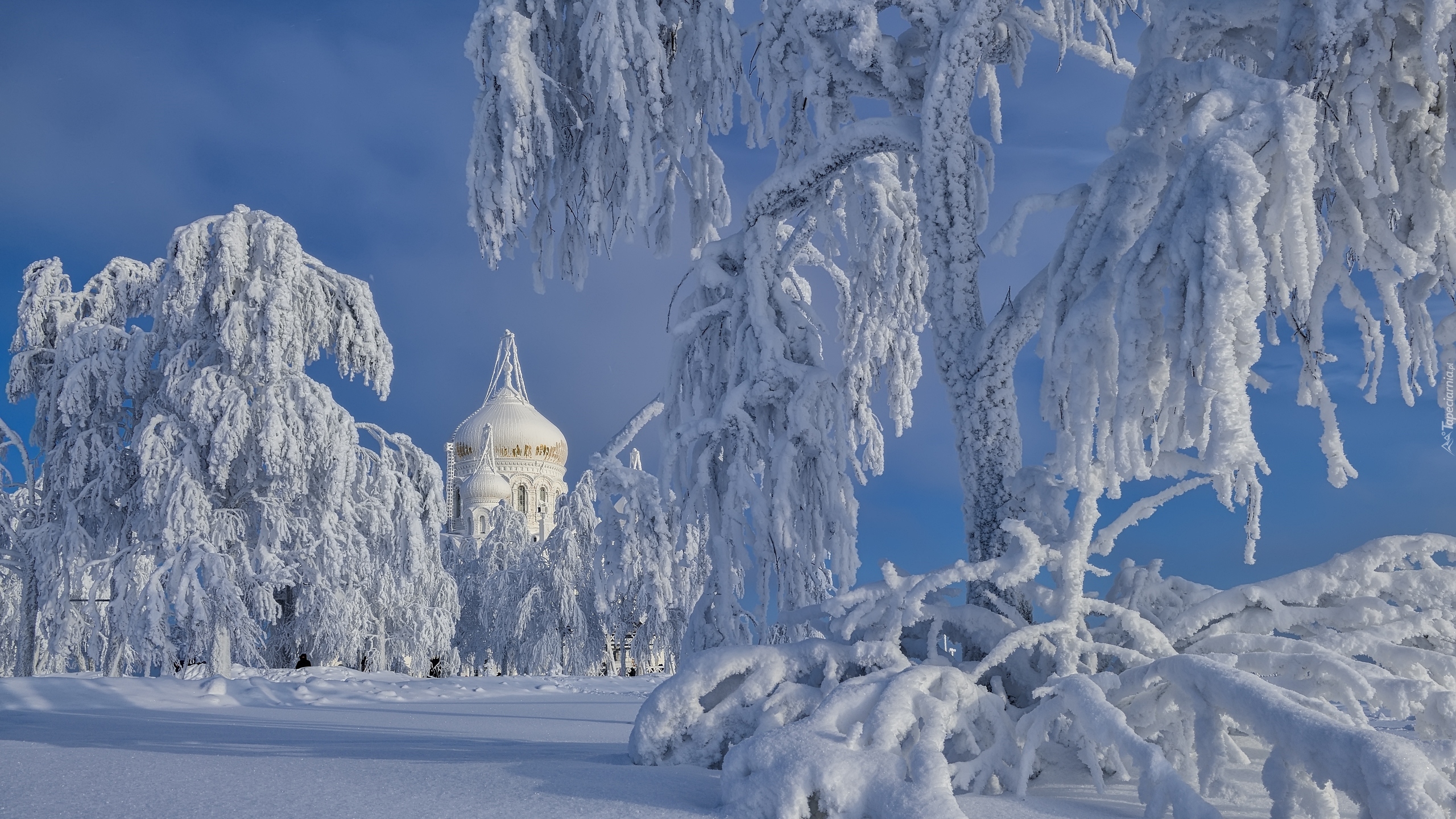 Cerkiew, Kopuła, Białogórski Monaster św Mikołaja, Zima, Śnieg, Ośnieżone, Drzewa, Biała Góra, Obwód permski, Rosja
