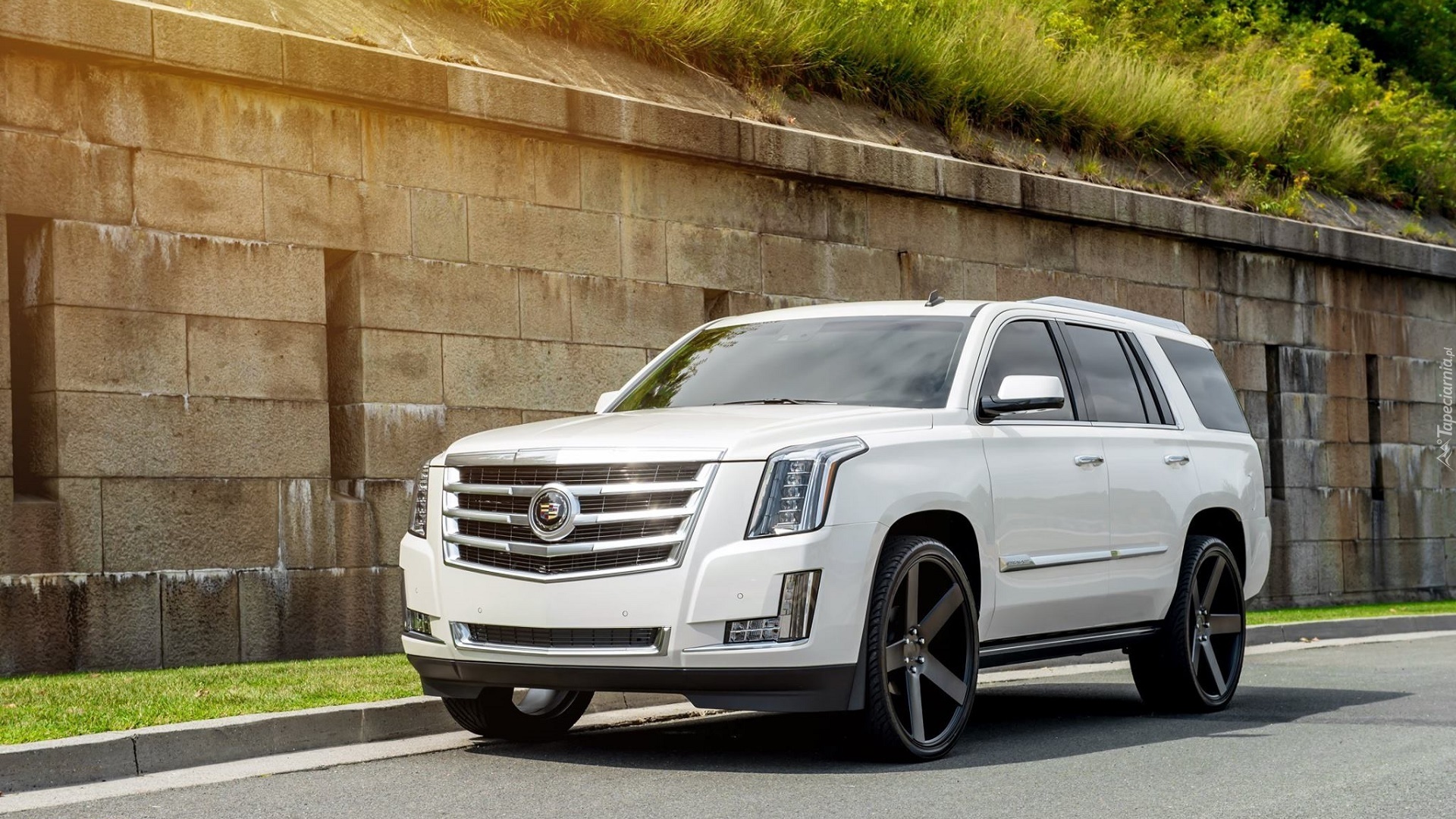 Biały, Cadillac Escalade, 2015