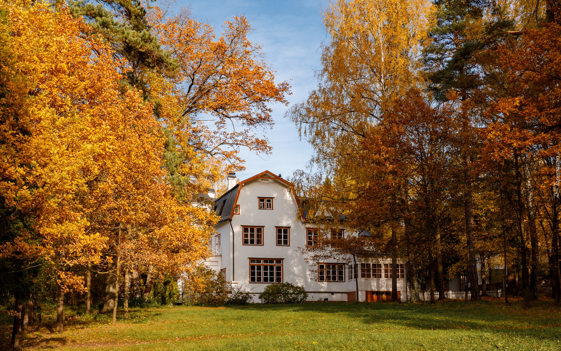 Jesień, Drzewa, Pożółkłe, Liście, Biały, Dom