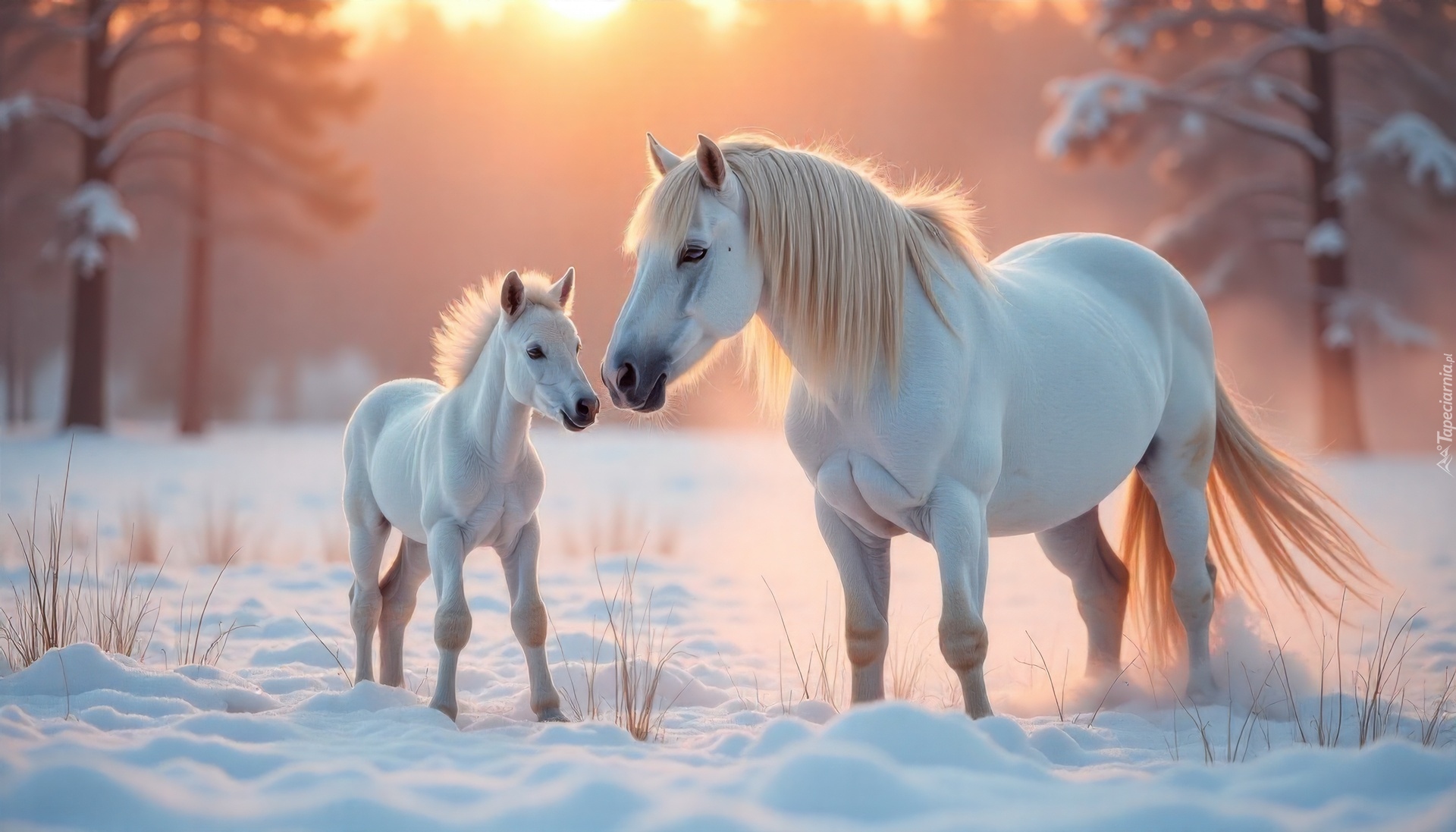 Konie, Źrebak, Zima, Grafika AI