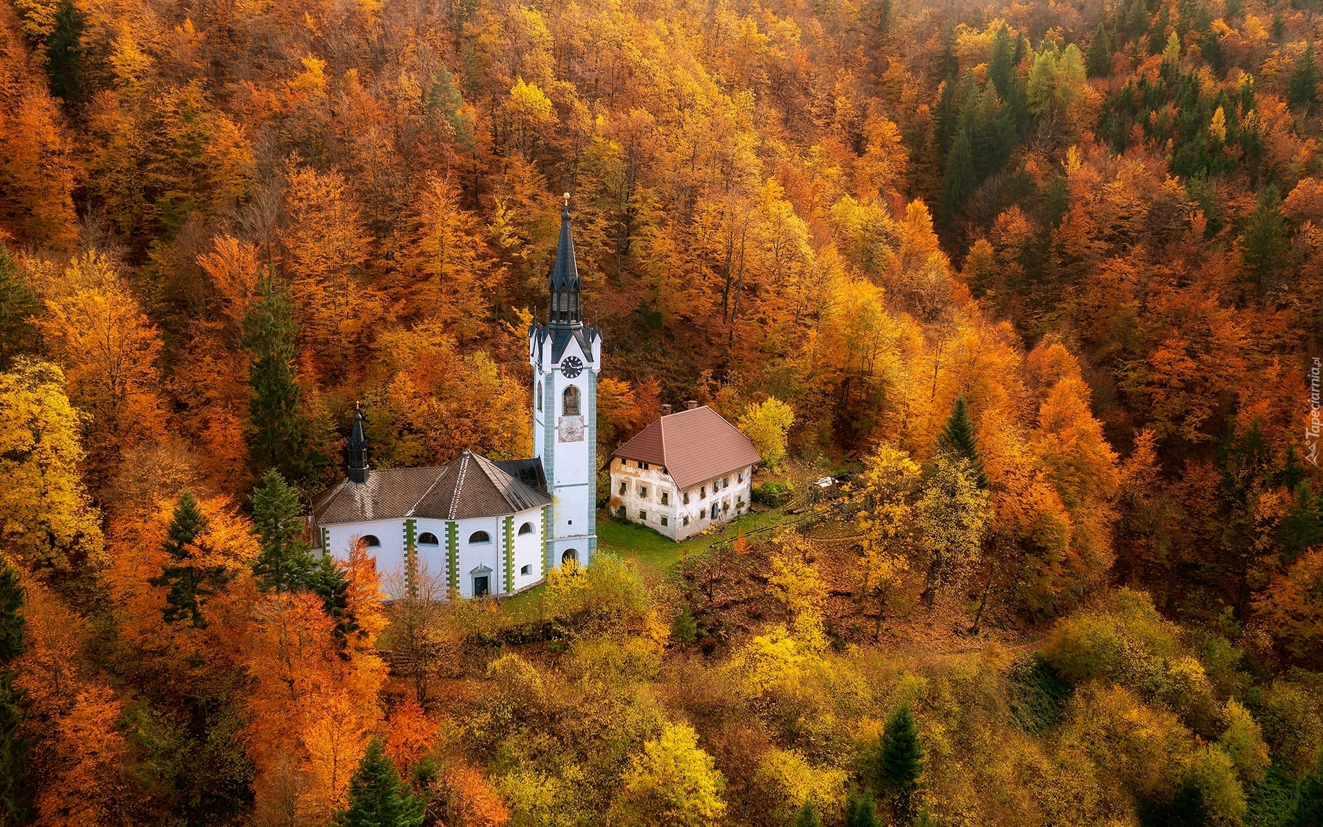 Las, Drzewa, Jesień, Kościół, Dom