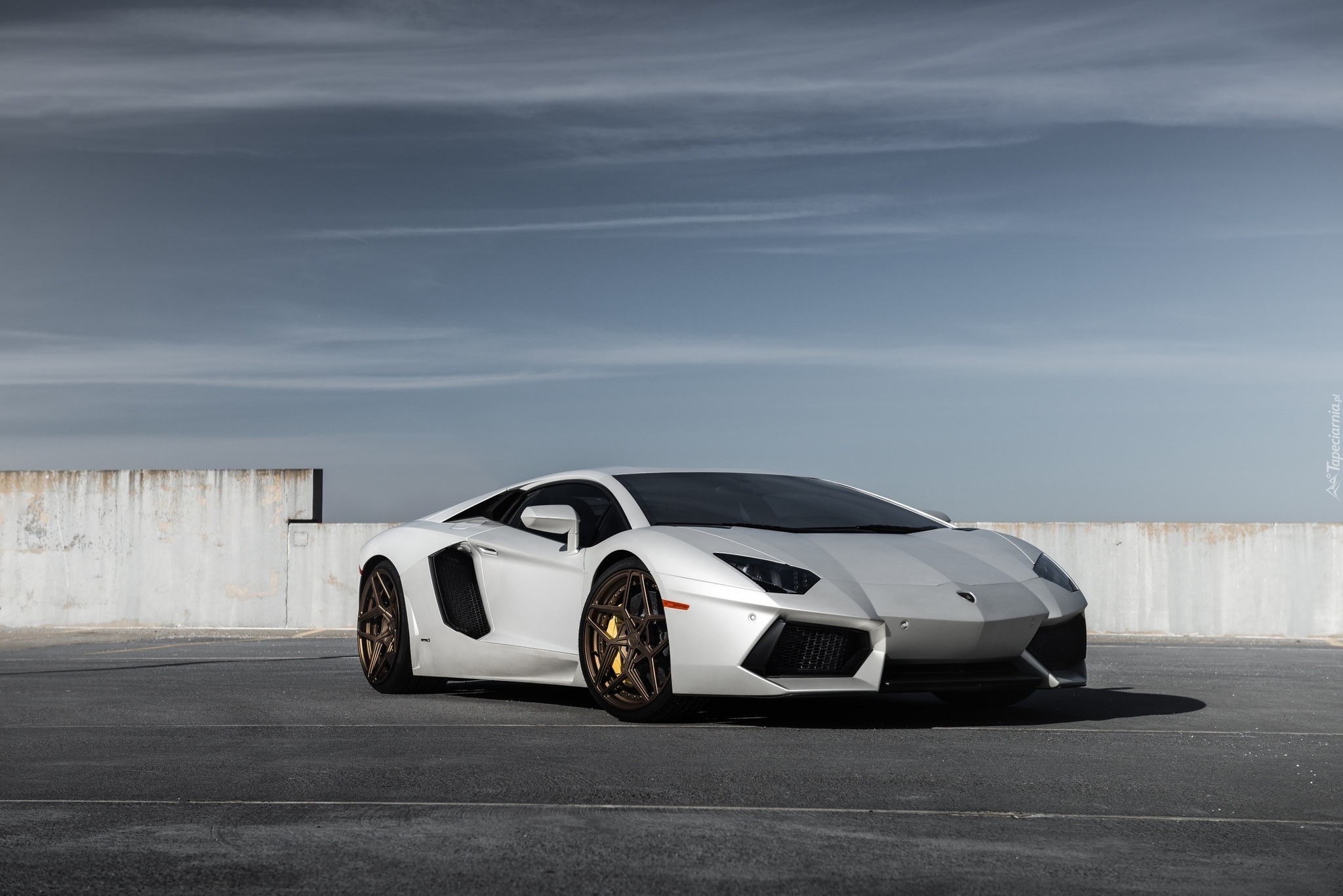 Lamborghini Aventador, Biały