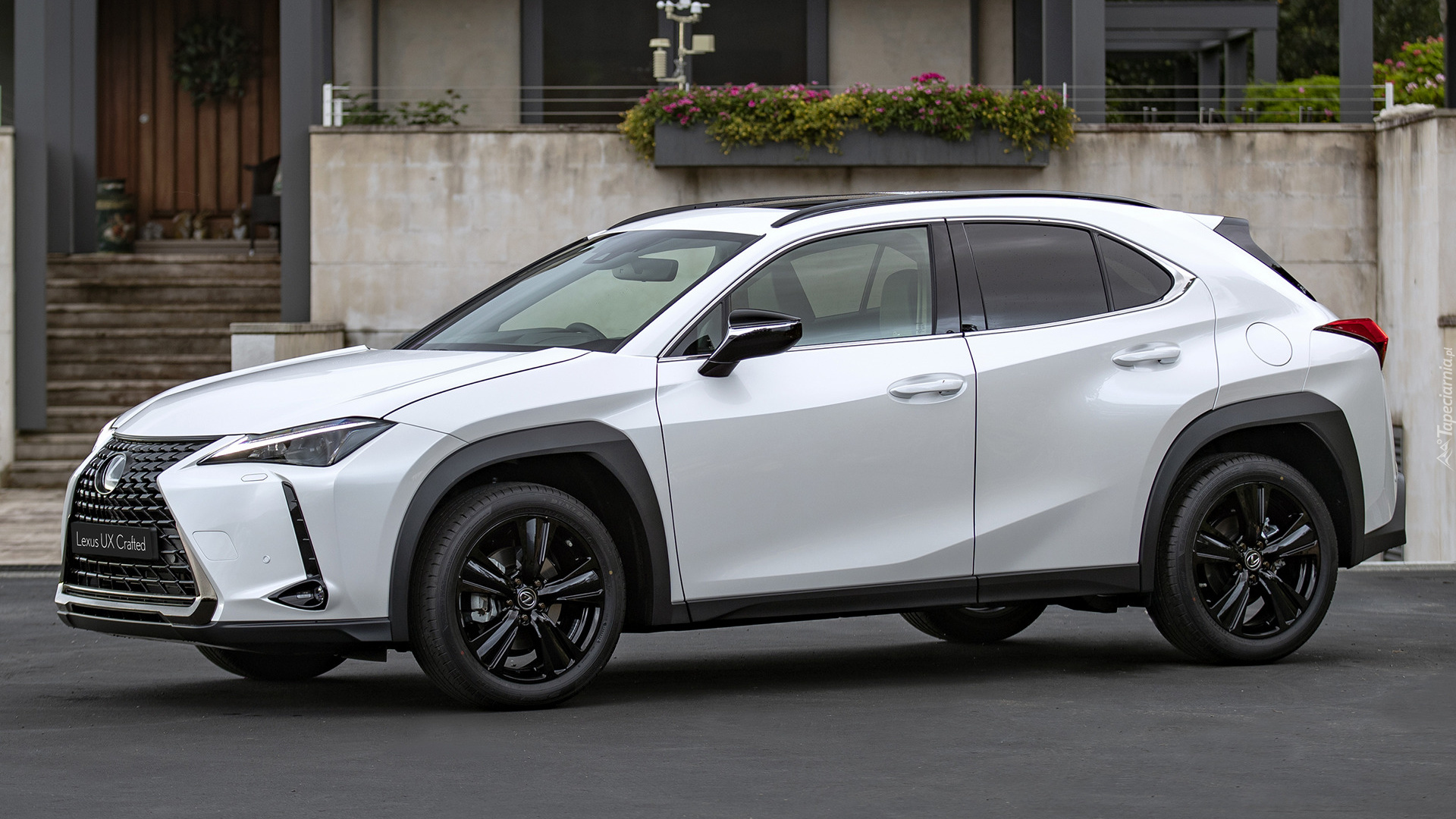 Biały, Lexus UX, Bok